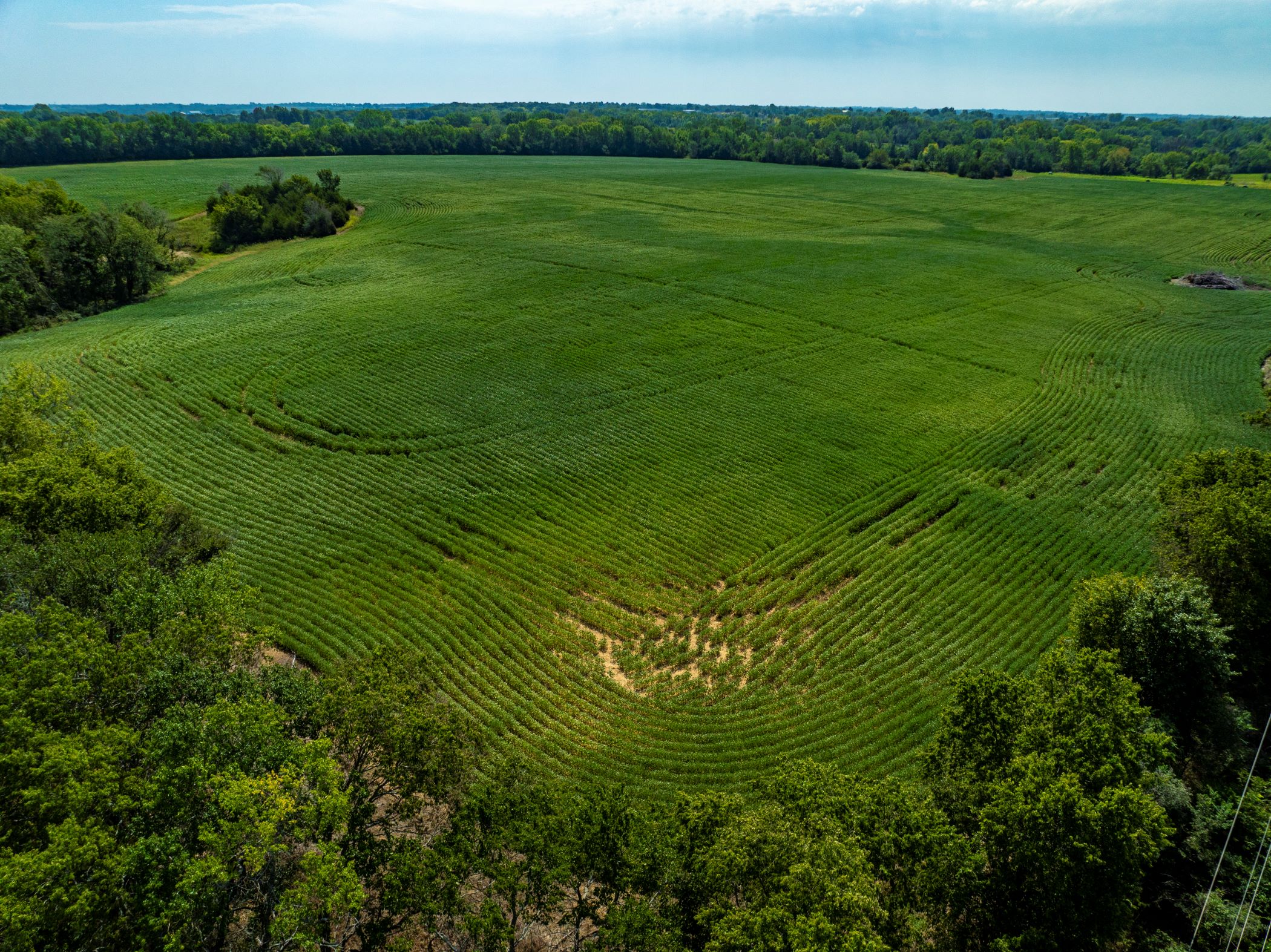 Heck_Baldwin Reshoot_Aug 26 2024_Aerial Stills POST_36