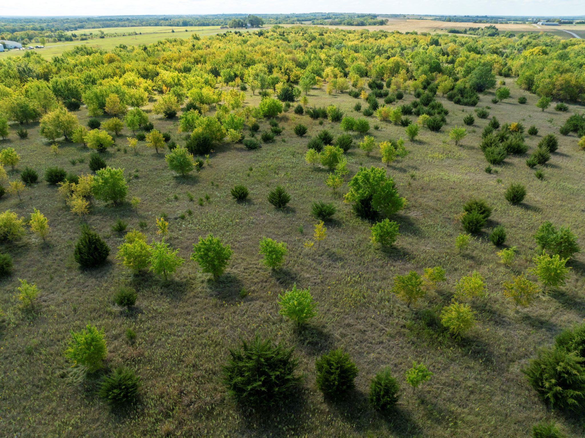 1000 rd_Sept 16 2024_ Aerial Stills POST_9