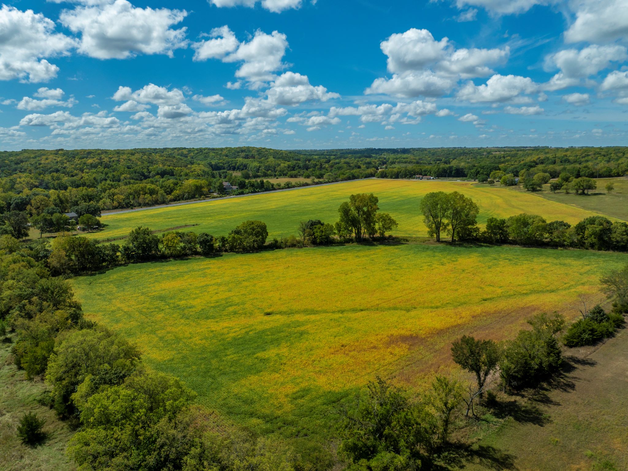 Starview Acres_Sept 18 2024_ Aerial Stills POST_31