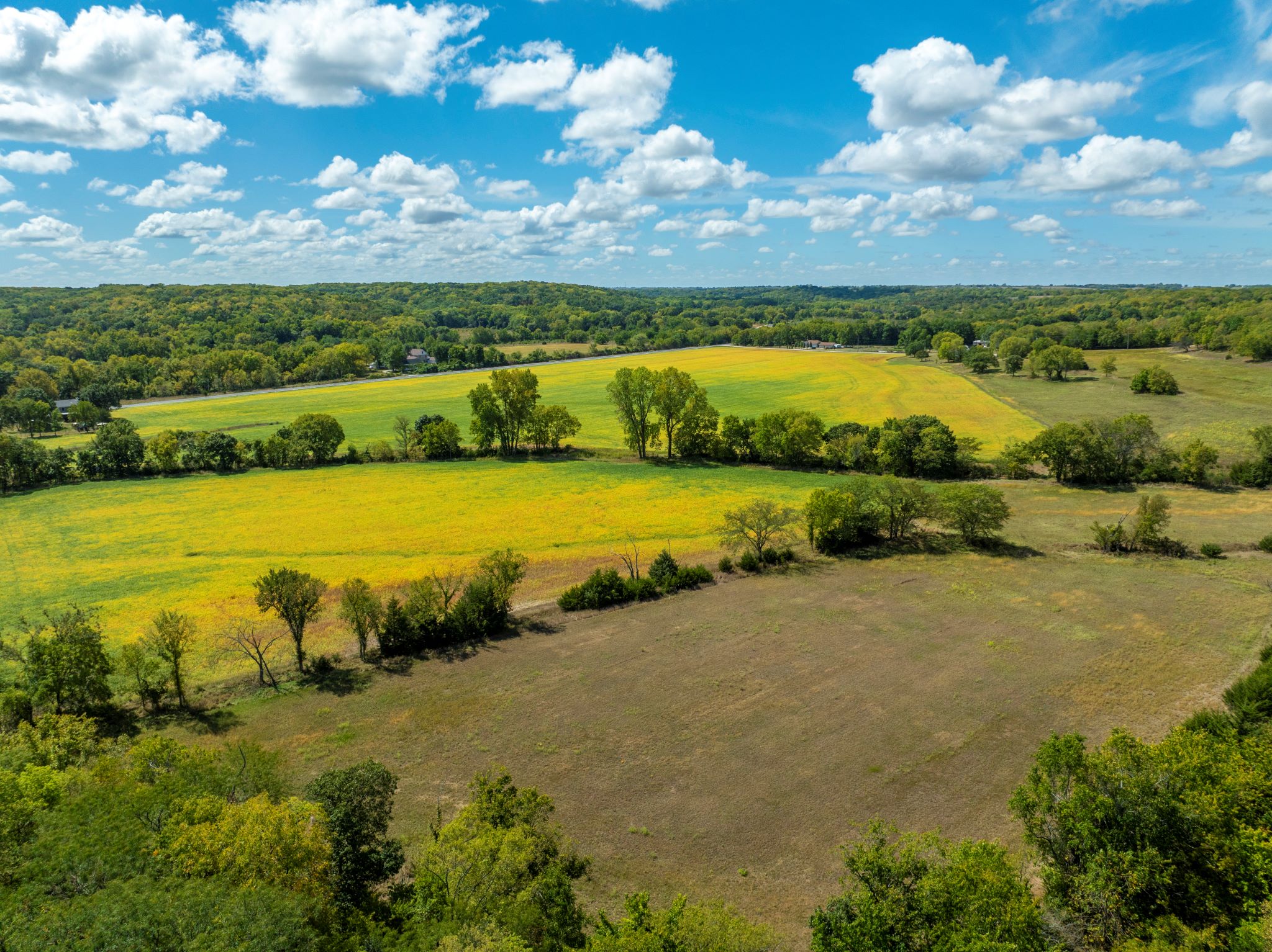 Starview Acres_Sept 18 2024_ Aerial Stills POST_33