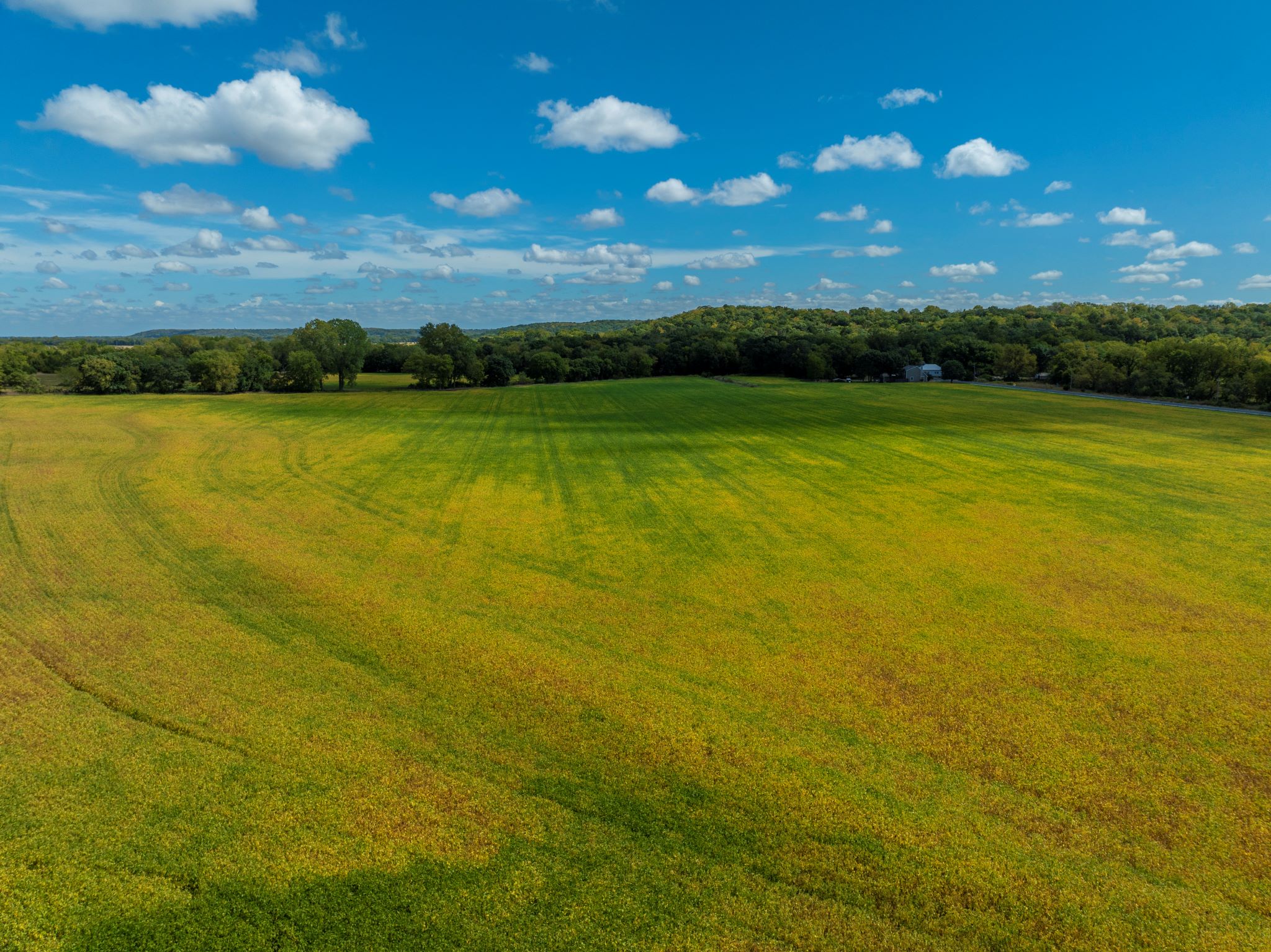 Starview Acres_Sept 18 2024_ Aerial Stills POST_34