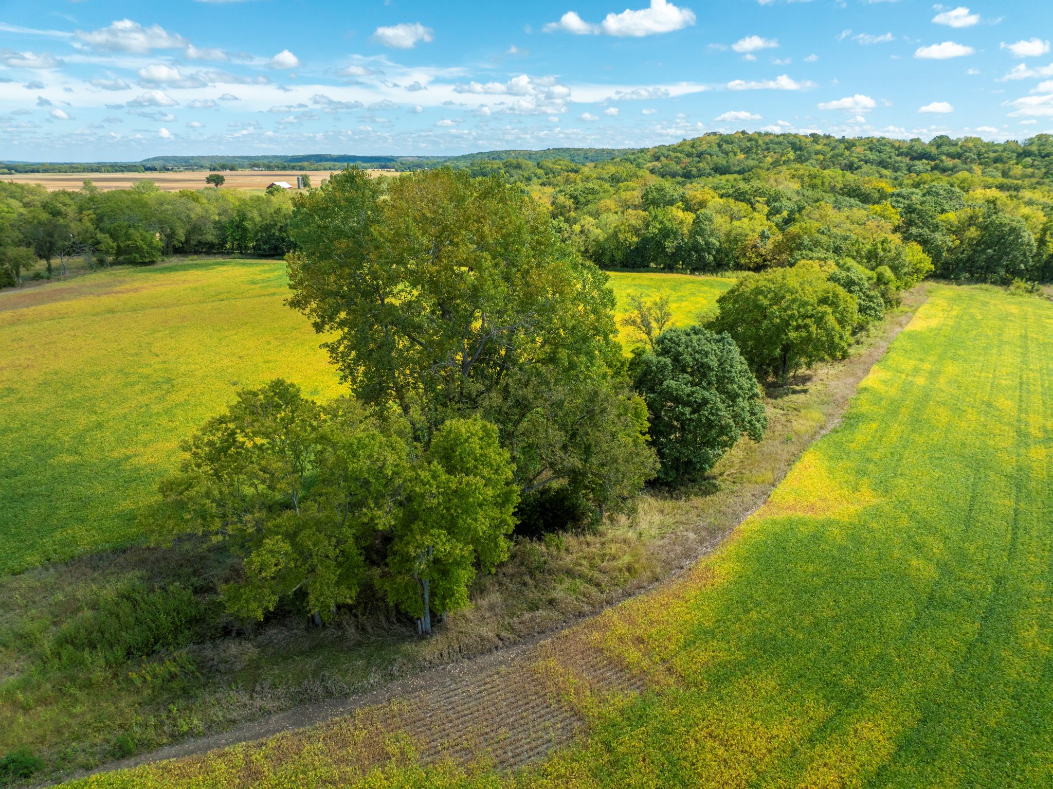 Starview Acres_Sept 18 2024_ Aerial Stills POST_39