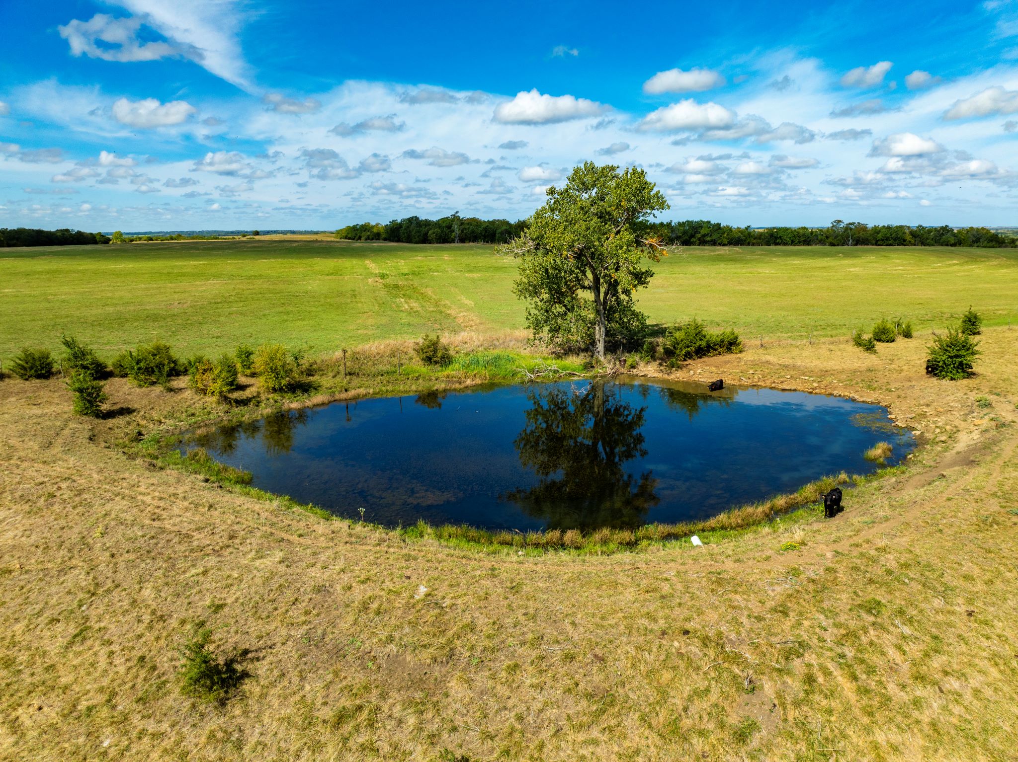 Timber Ridge Ranch_Sept 18 2024_ Aerial Stills POST_29