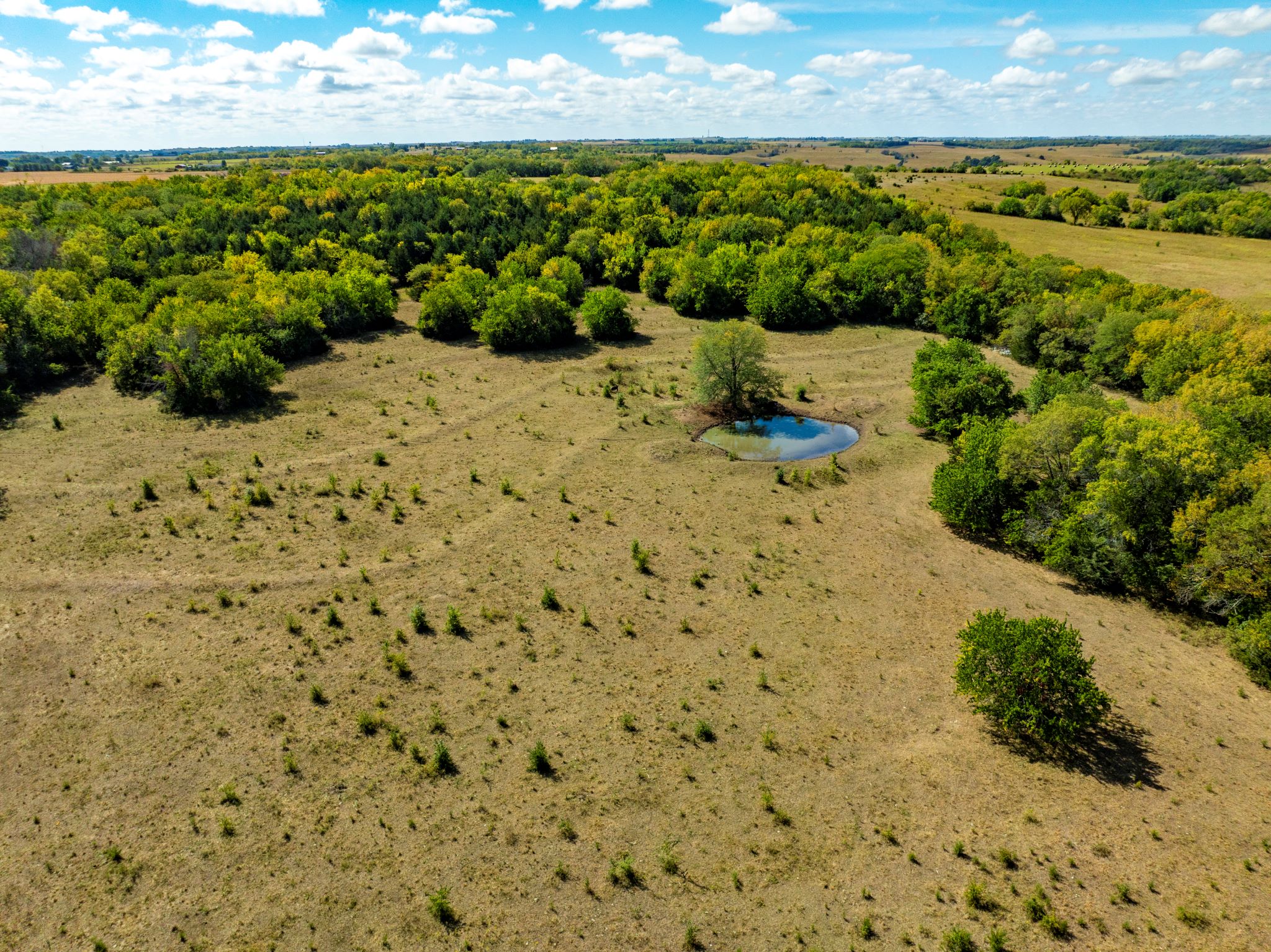 Timber Ridge Ranch_Sept 18 2024_ Aerial Stills POST_31