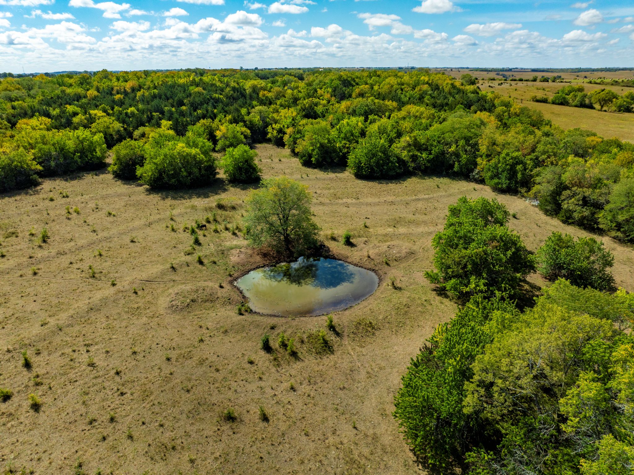 Timber Ridge Ranch_Sept 18 2024_ Aerial Stills POST_32