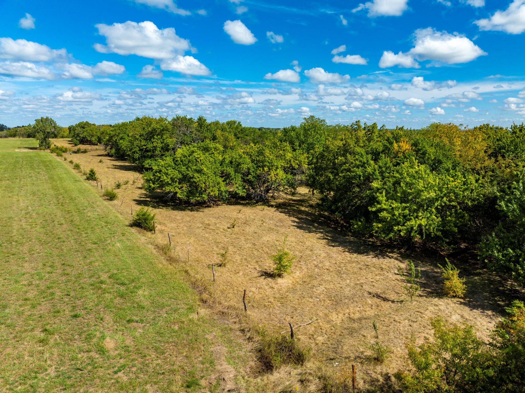 Timber Ridge Ranch_Sept 18 2024_ Aerial Stills POST_57