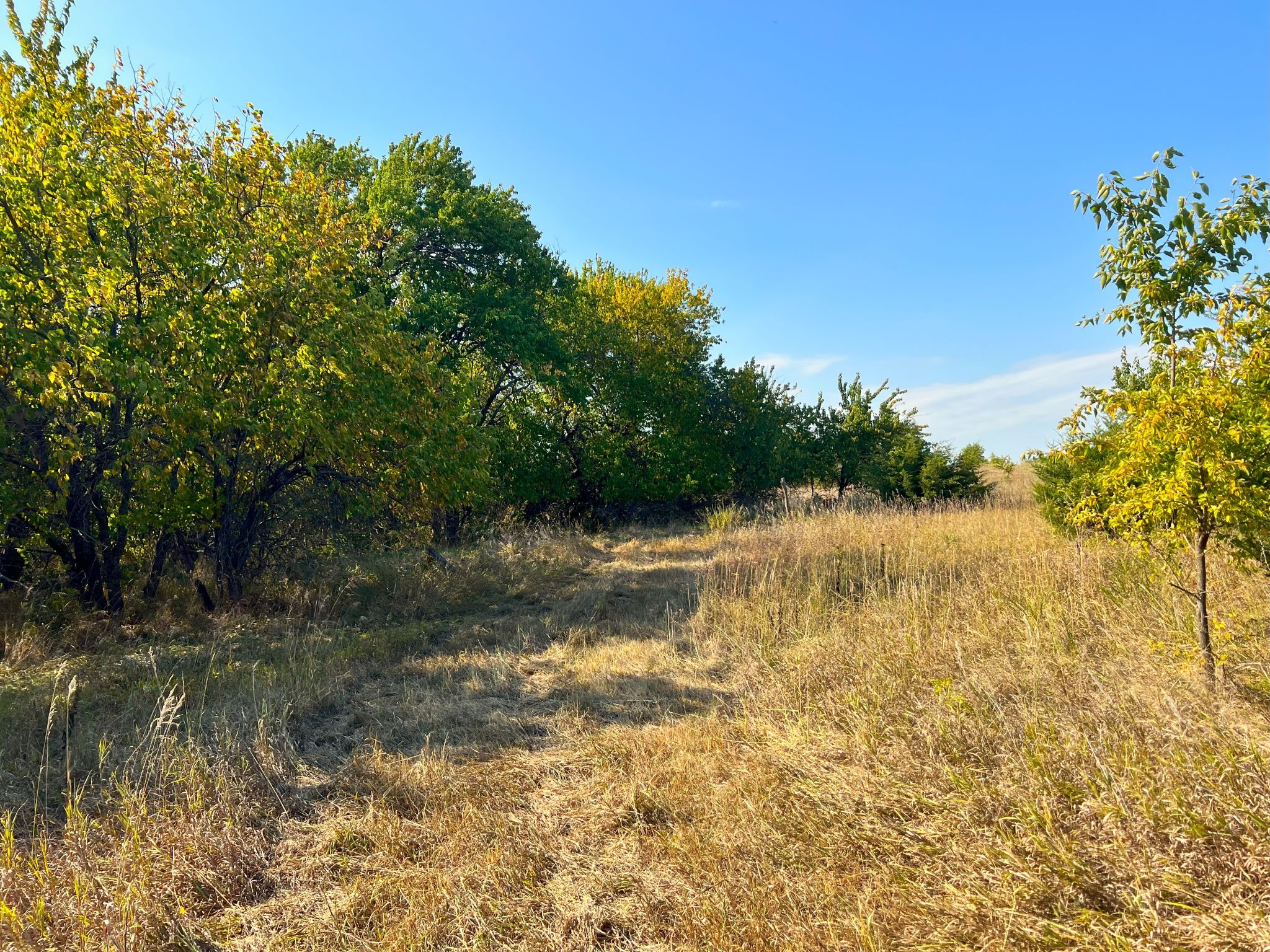 Westwind Meadows 2