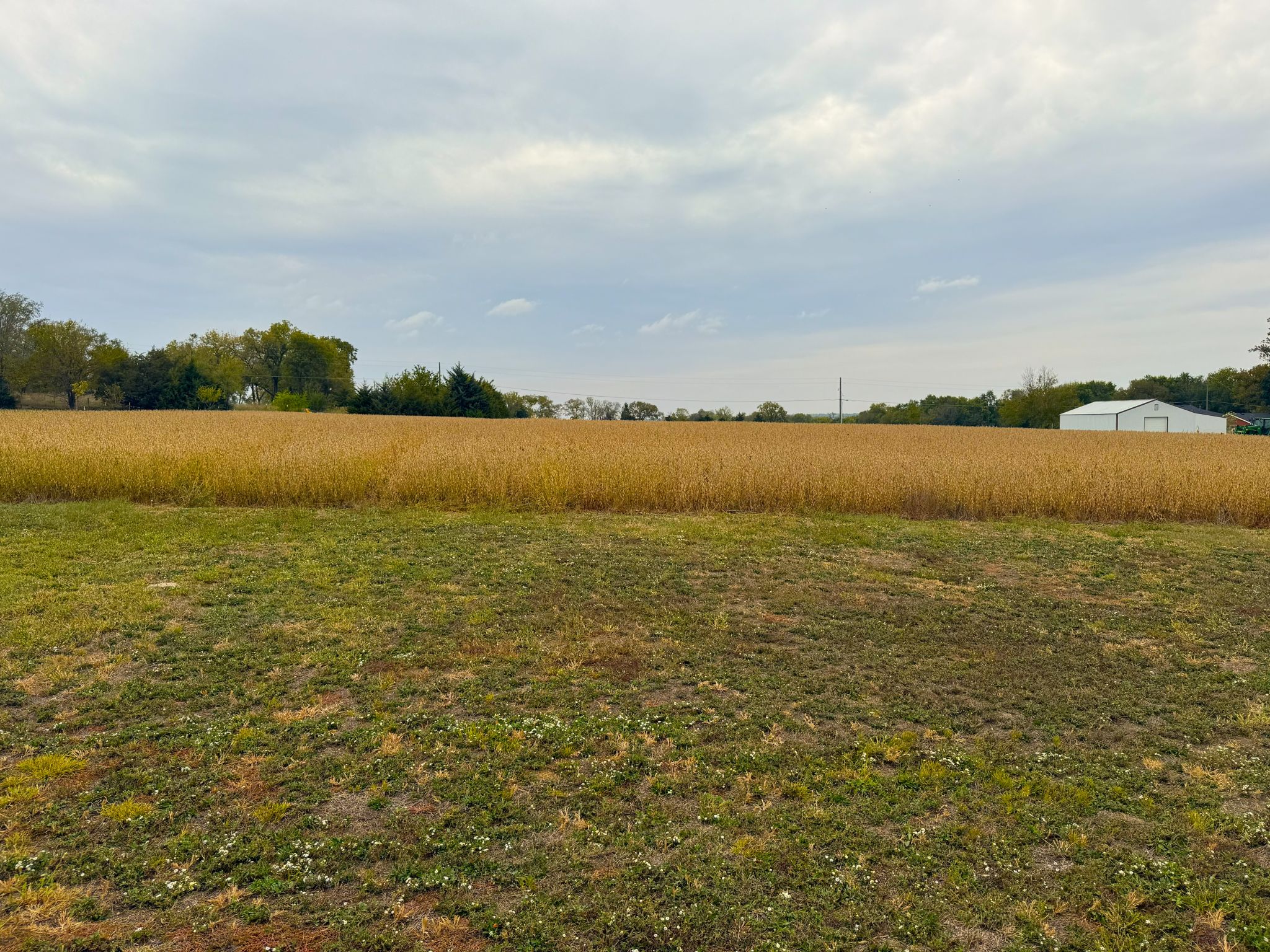 3A 20251014_180720923_iOS