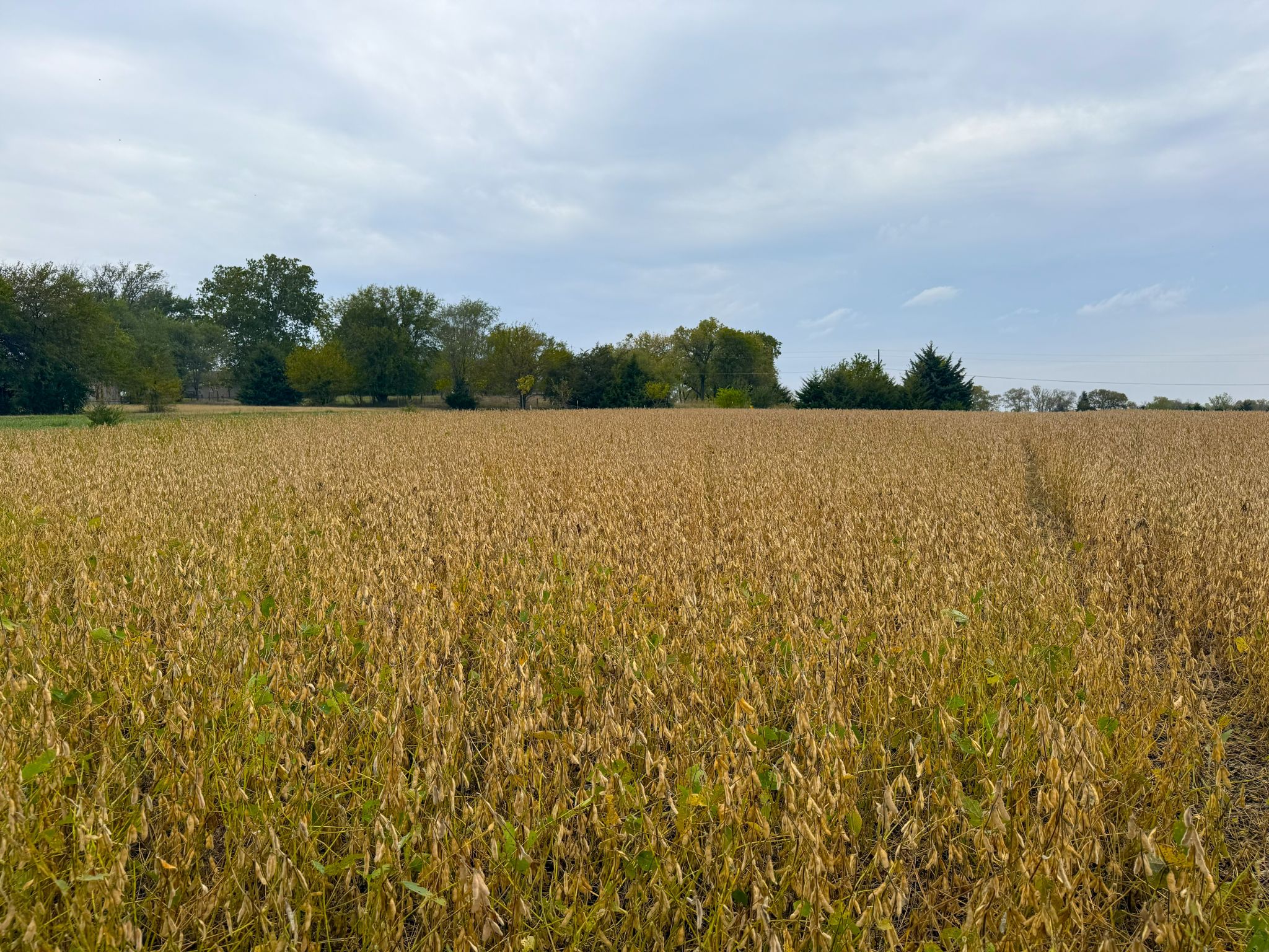 3A 20251014_180740818_iOS