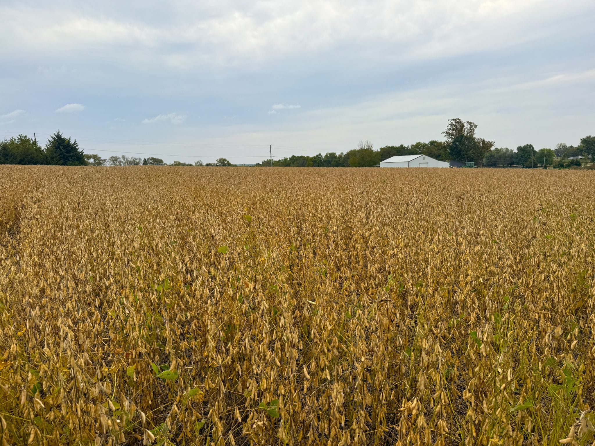 3A 20251014_180745362_iOS