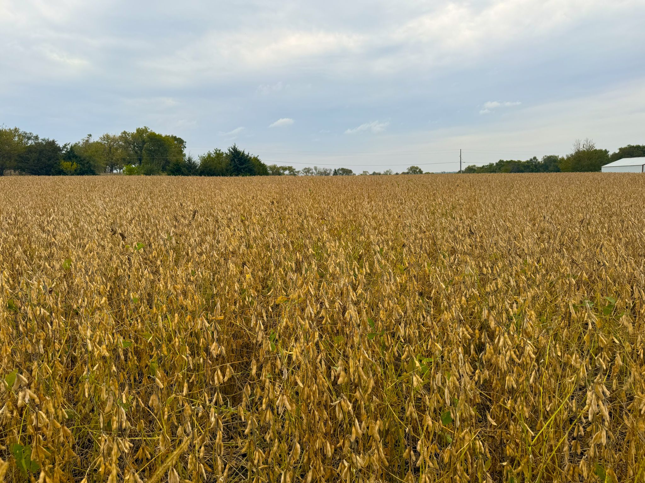 3A 20251014_180755117_iOS