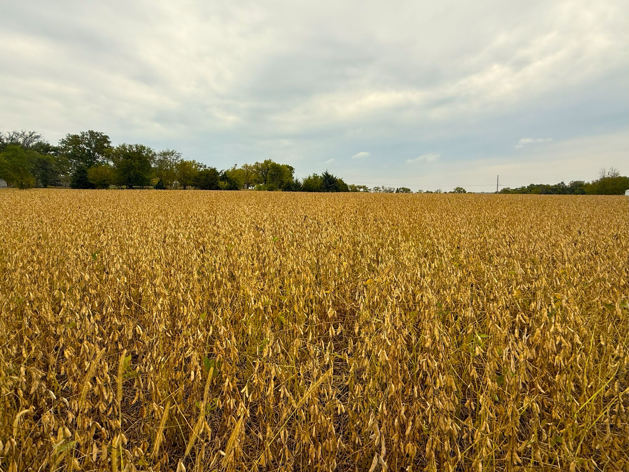 3A 20251014_180759574_iOS