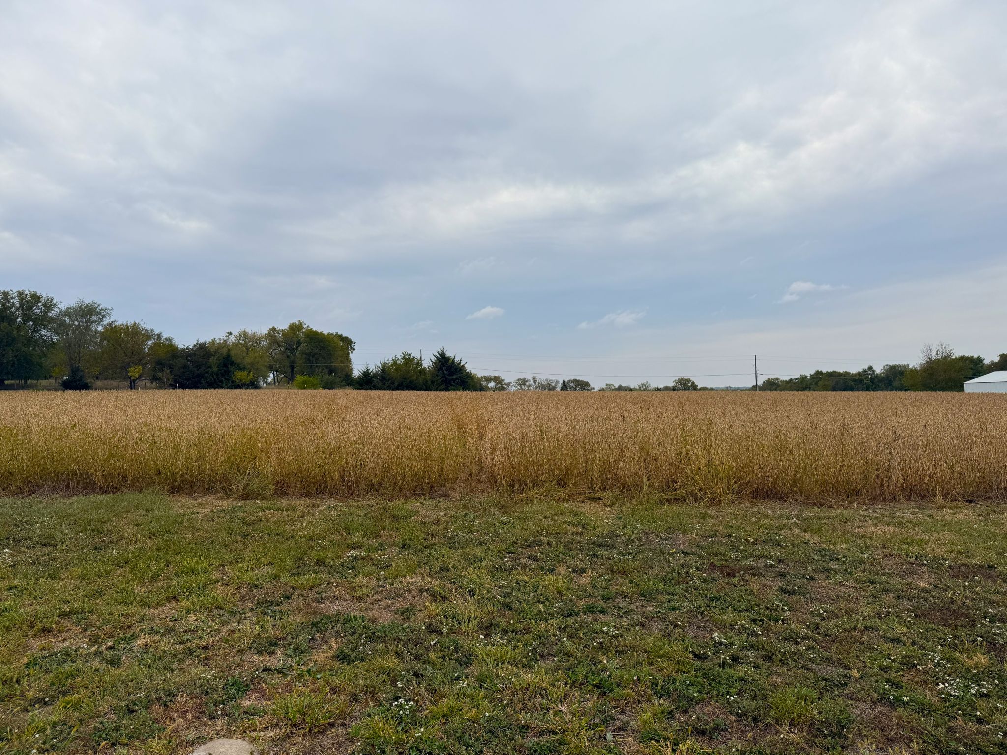 3A 20251014_180816810_iOS