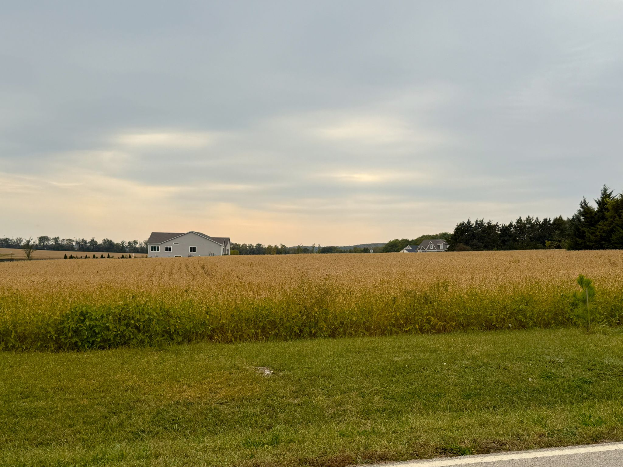 3A 20251014_180951314_iOS