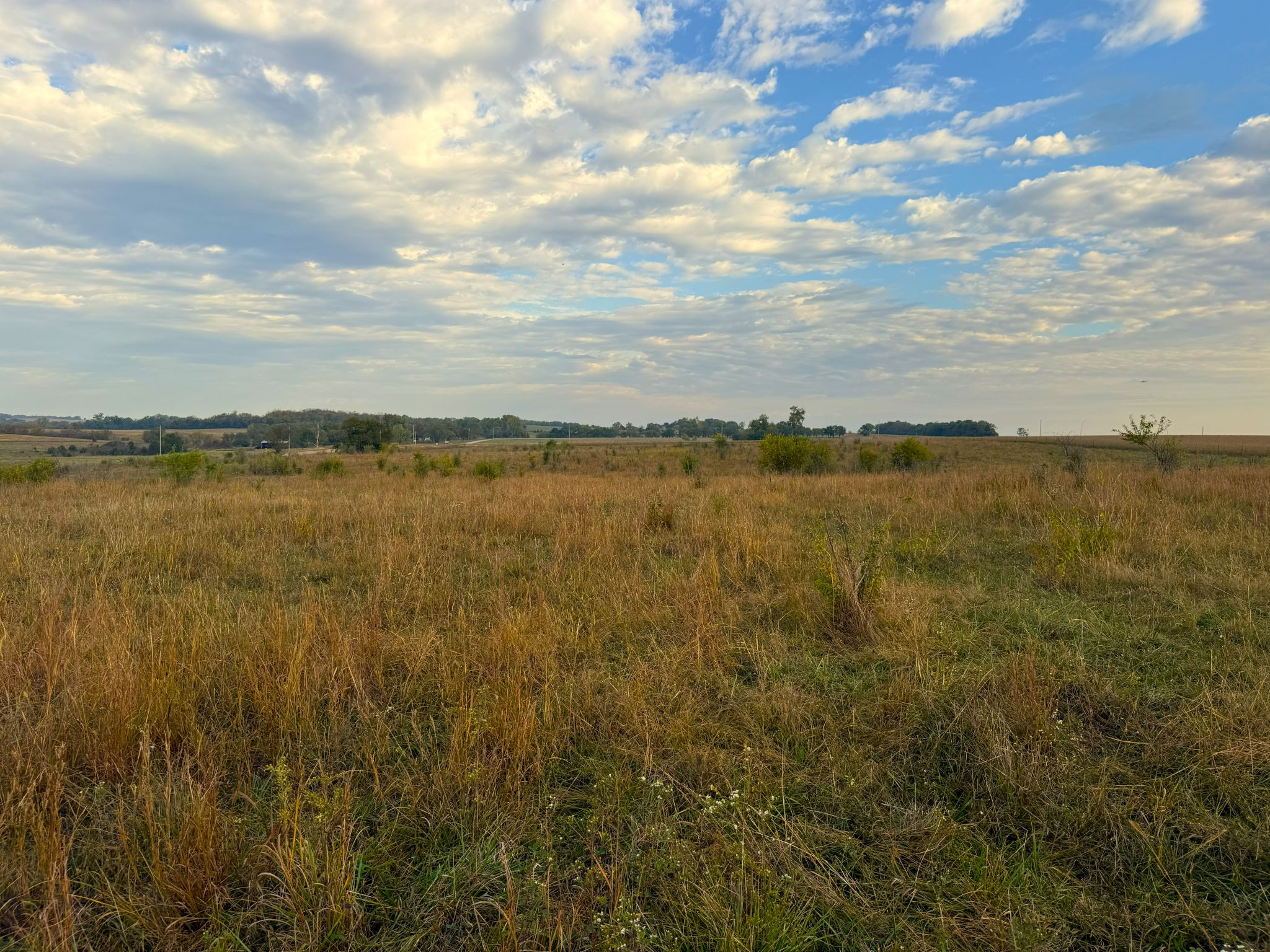 Tract 1 20251015_140325725_iOS