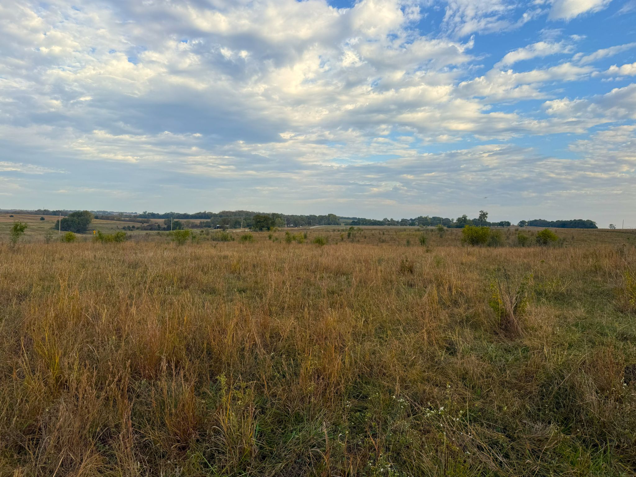 Tract 1 20251015_140326587_iOS