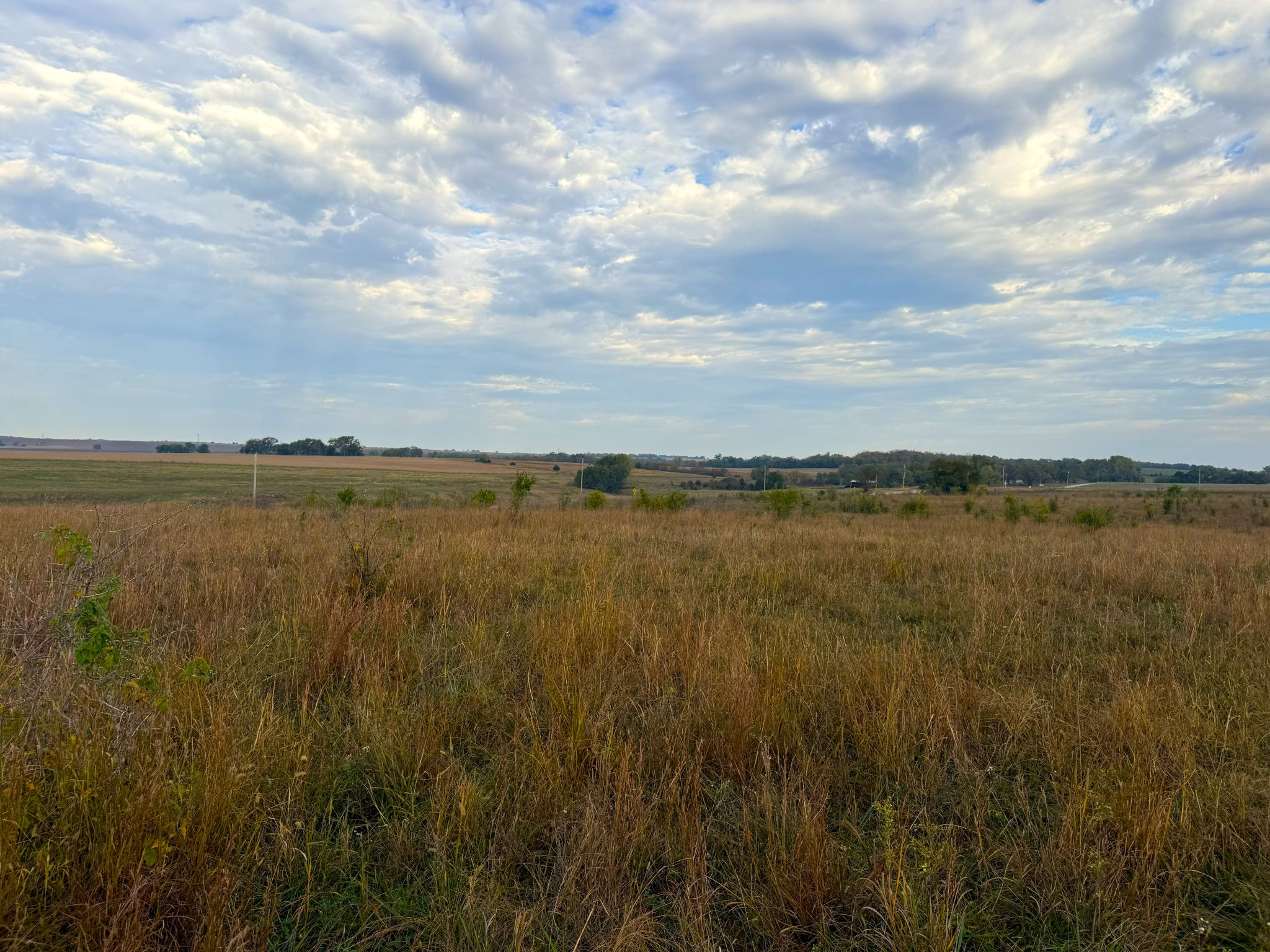 Tract 1 20251015_140327772_iOS