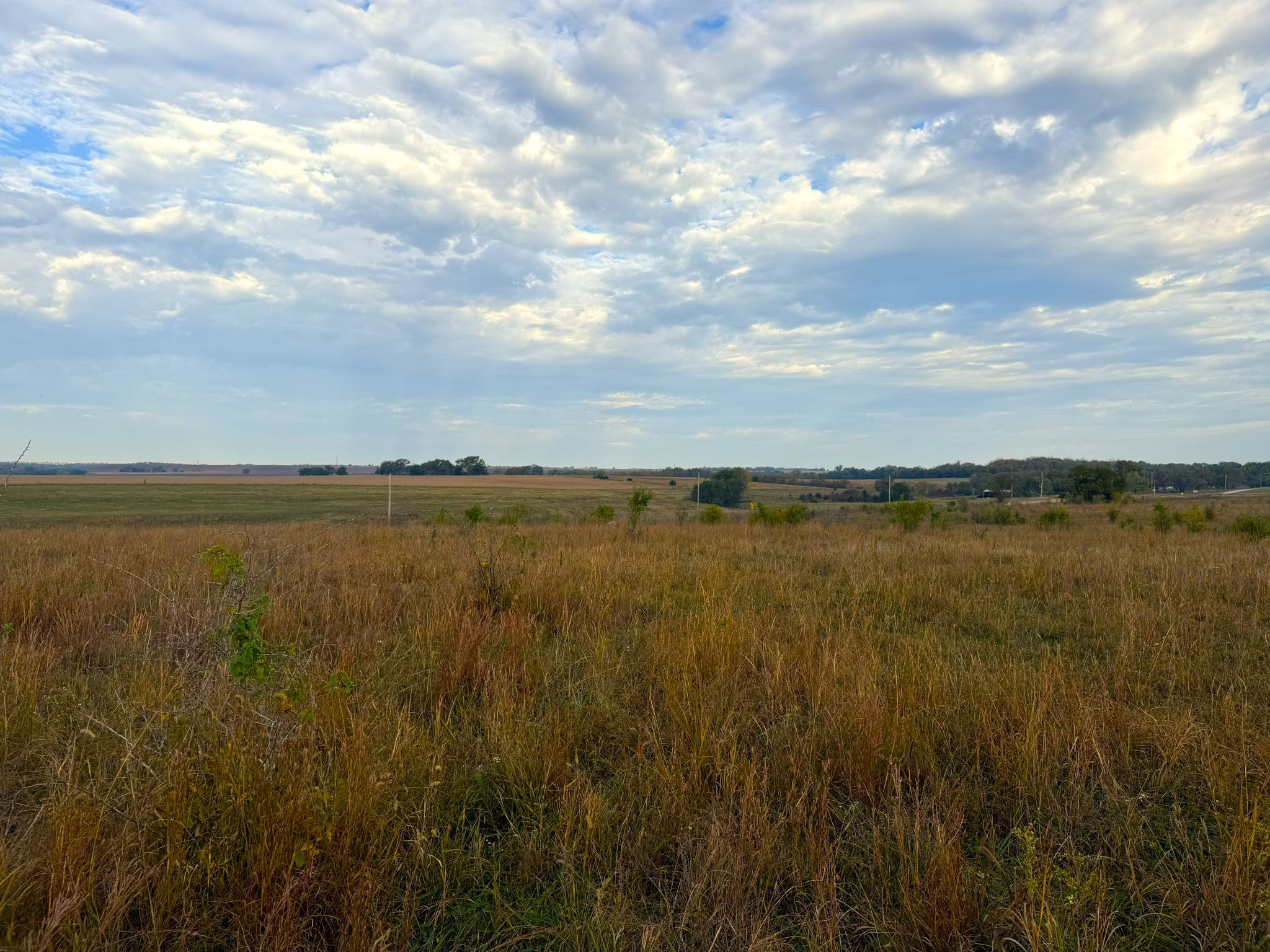 Tract 1 20251015_140328457_iOS