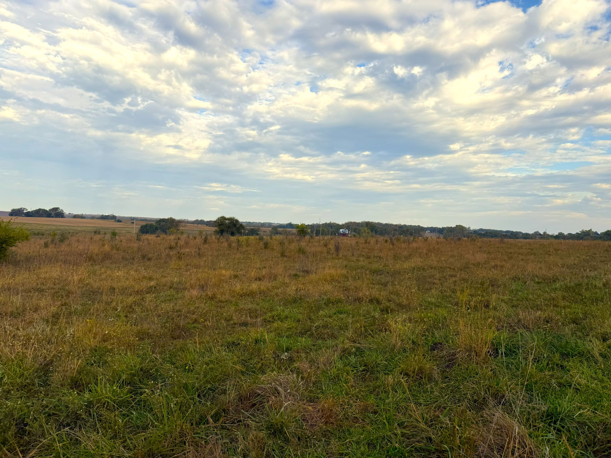 Tract 1 20251015_140401716_iOS