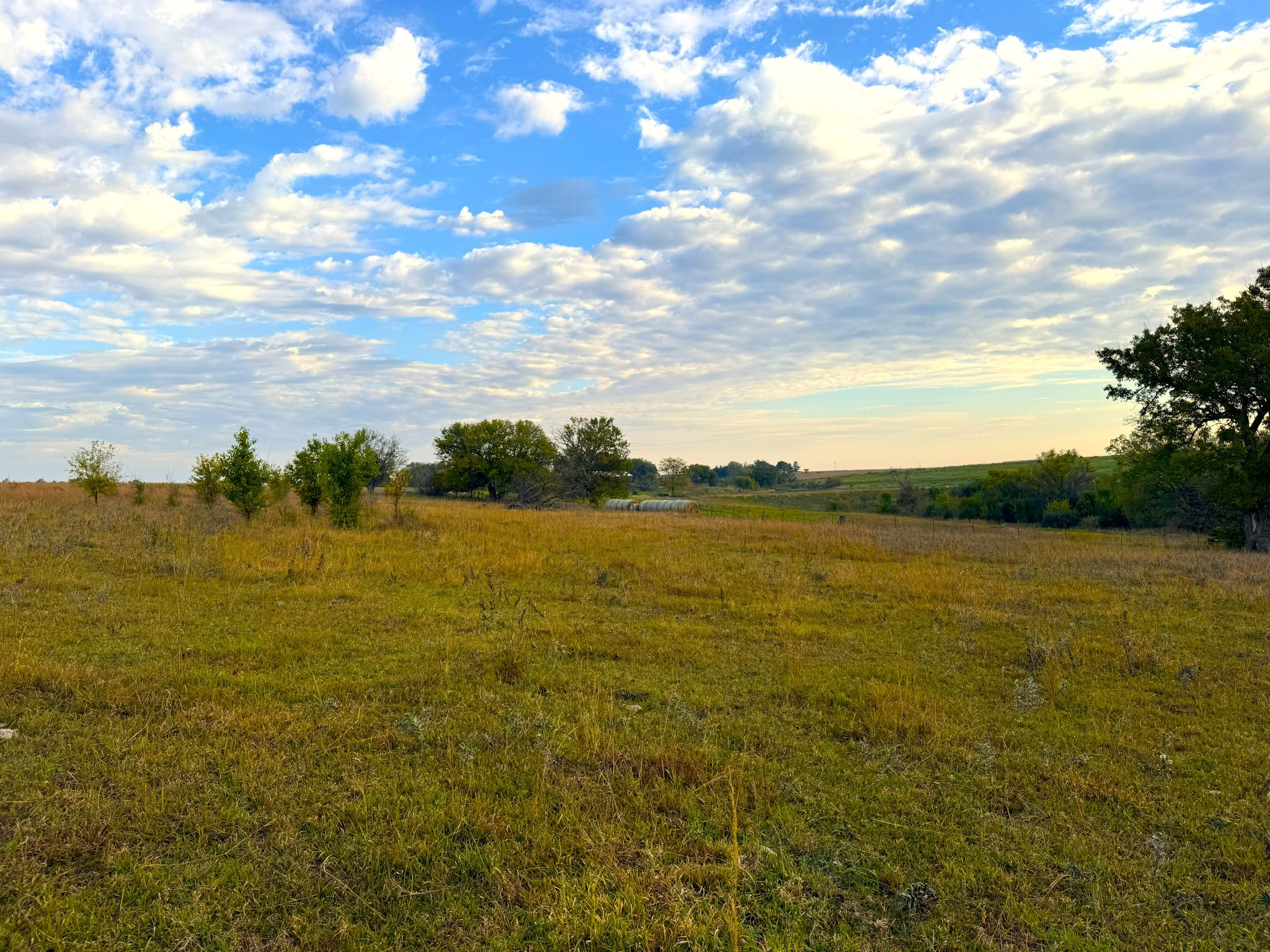 Tract 2 20251015_140148119_iOS