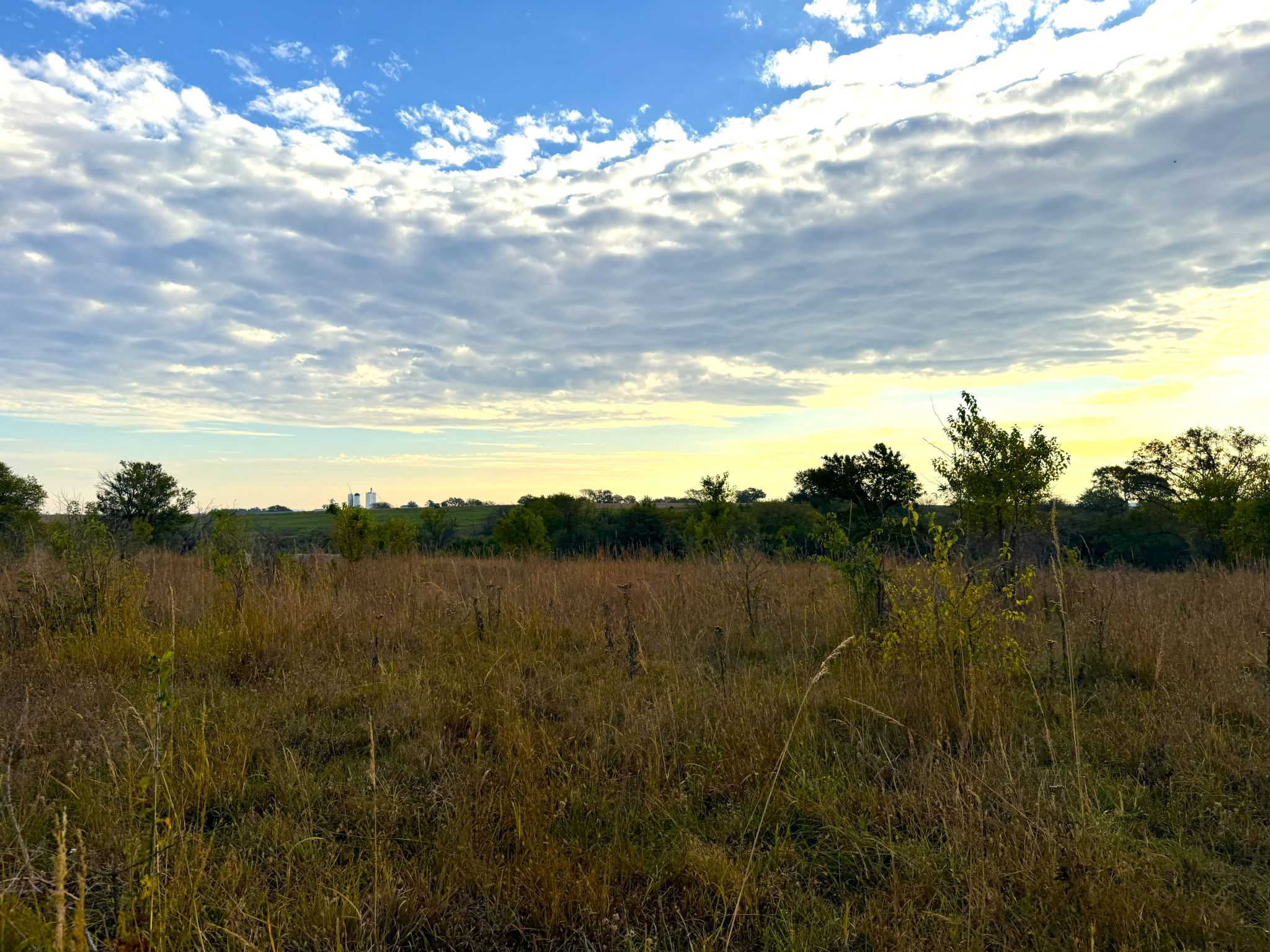 Tract 2 20251015_140208983_iOS