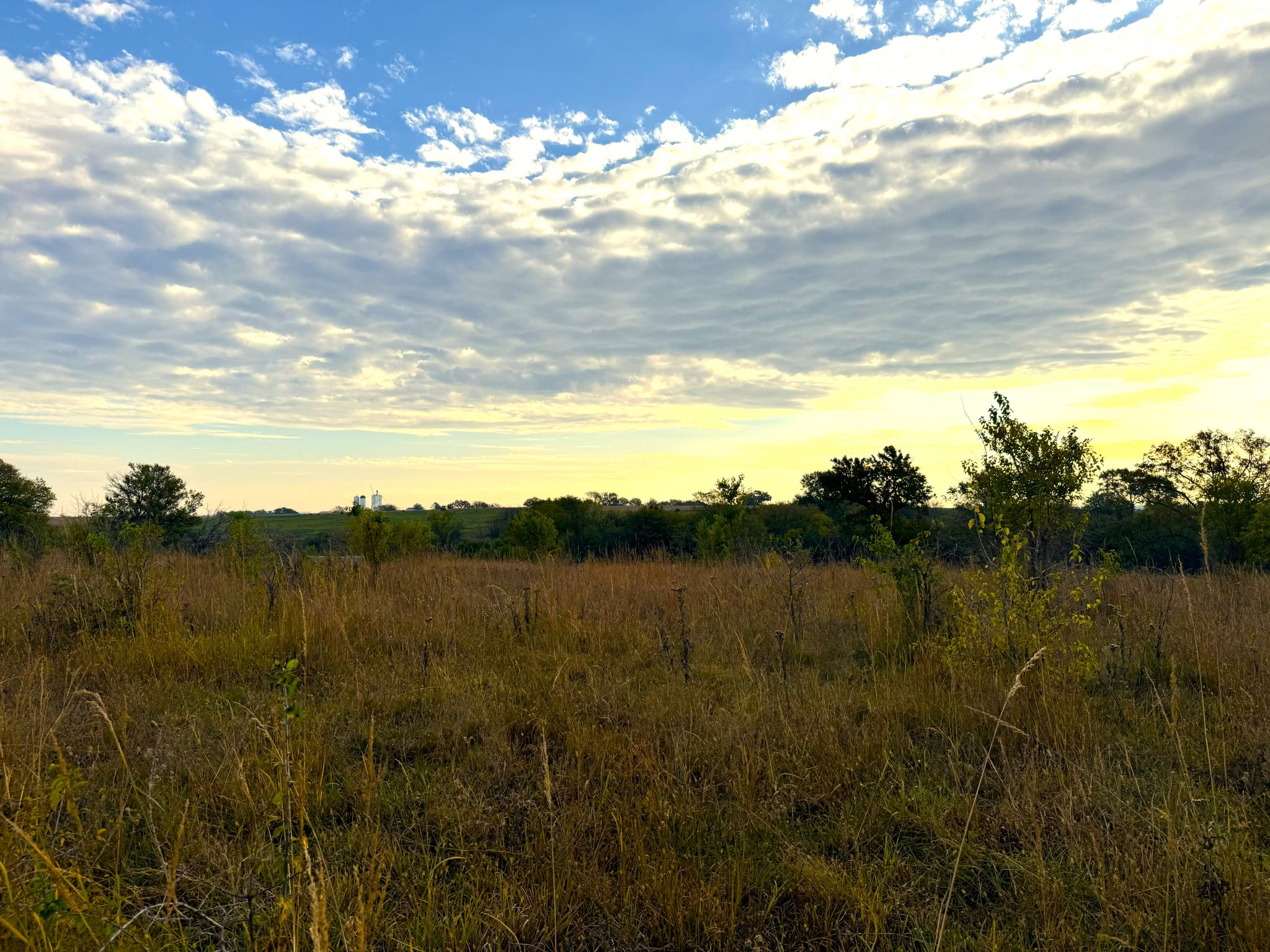 Tract 2 20251015_140210734_iOS