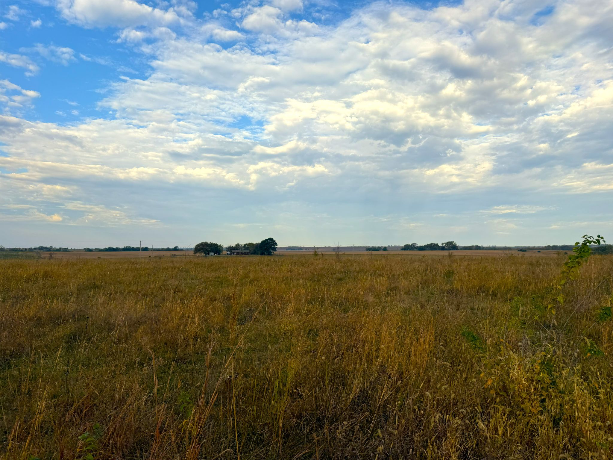 Tract 2 20251015_140257309_iOS