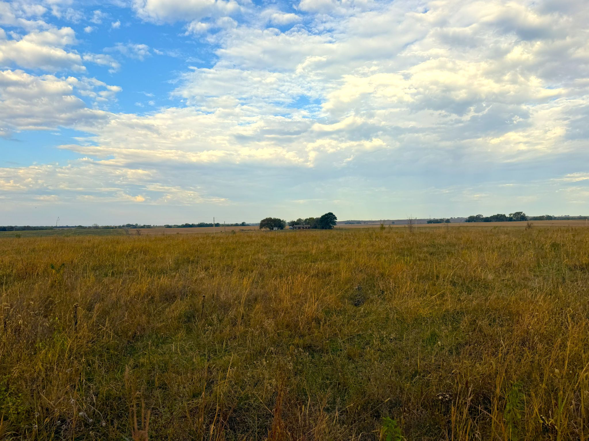 Tract 2 20251015_140258385_iOS