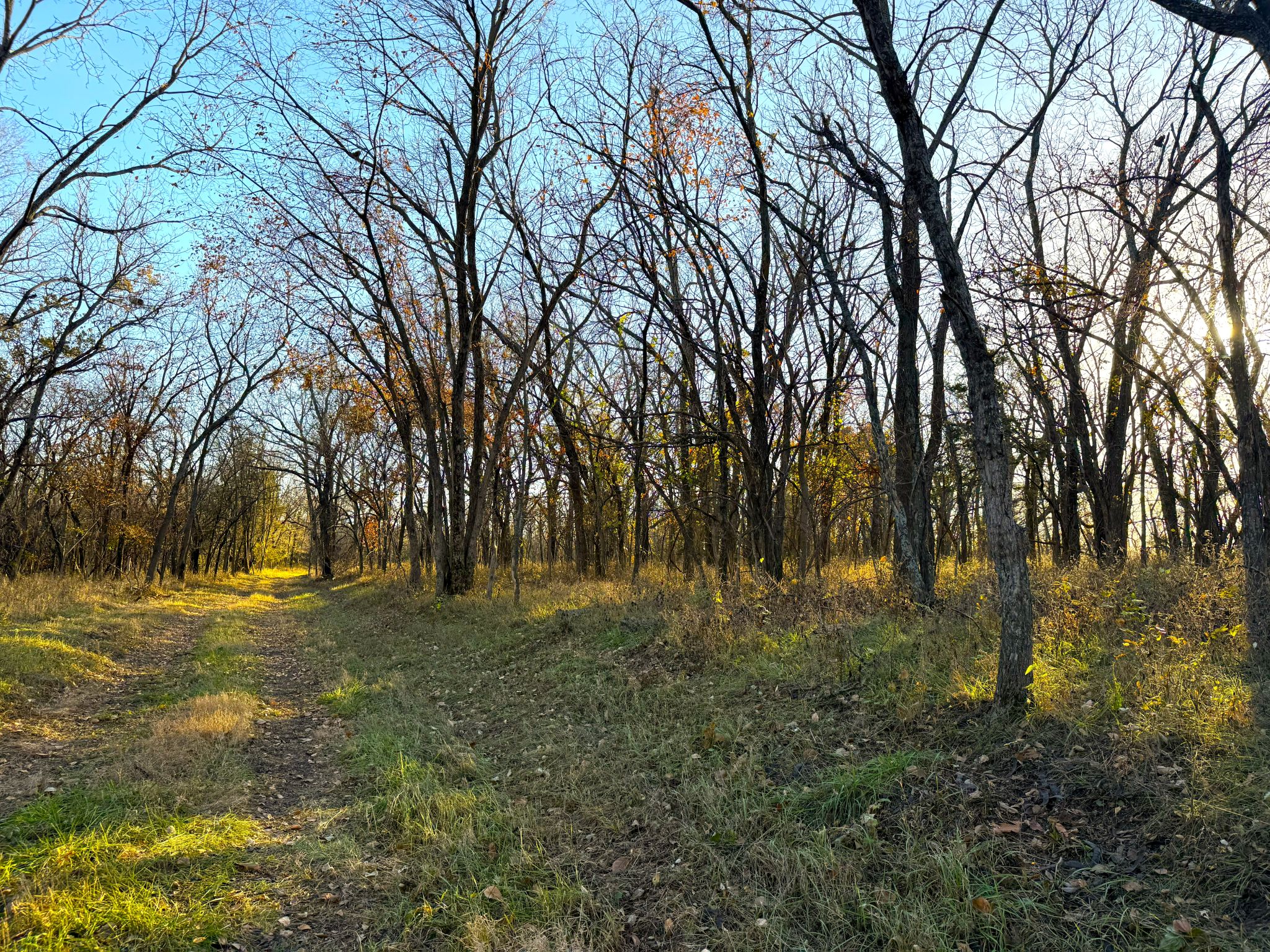 20251112_214512548_iOS