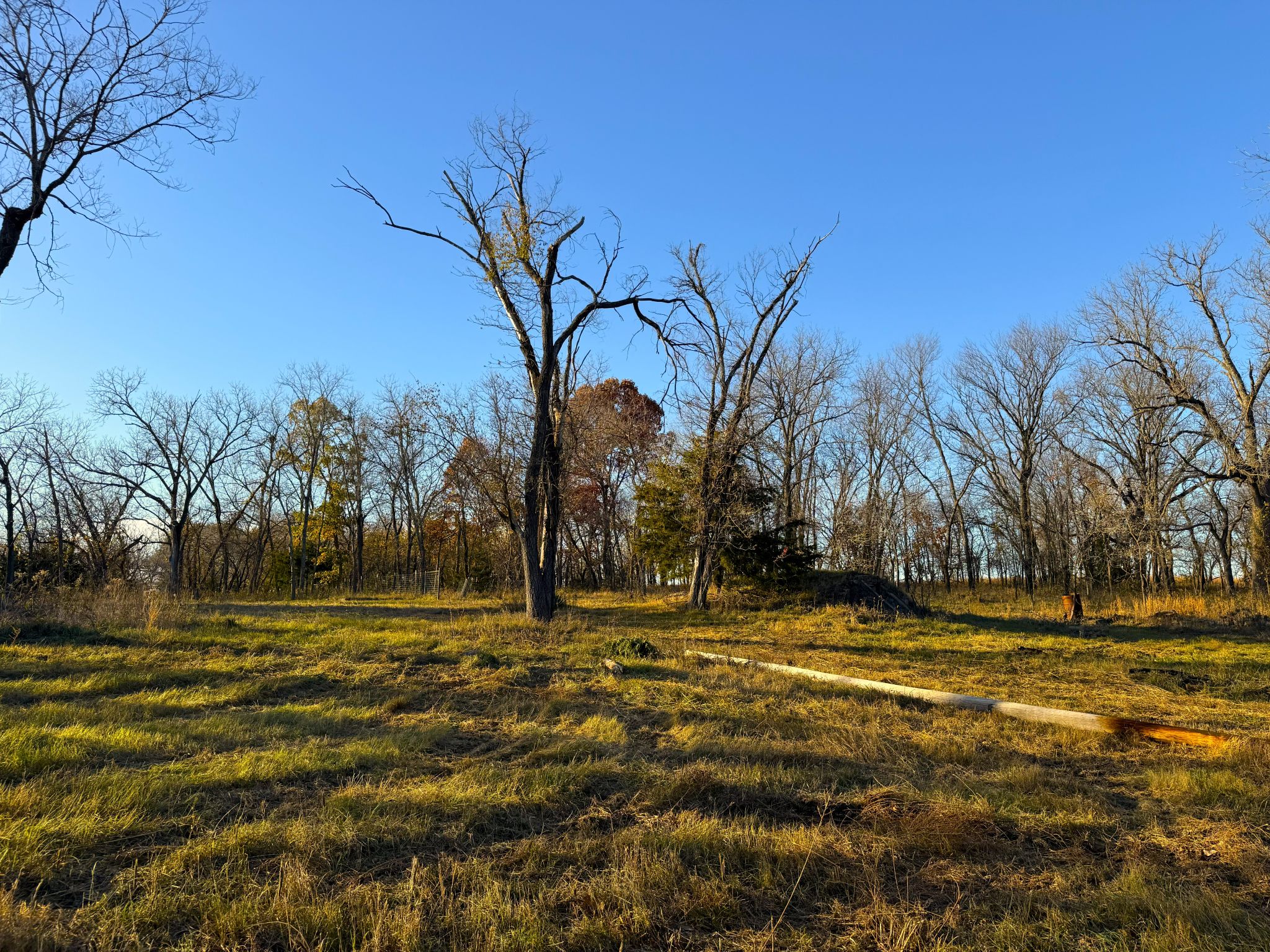 20251112_214614465_iOS