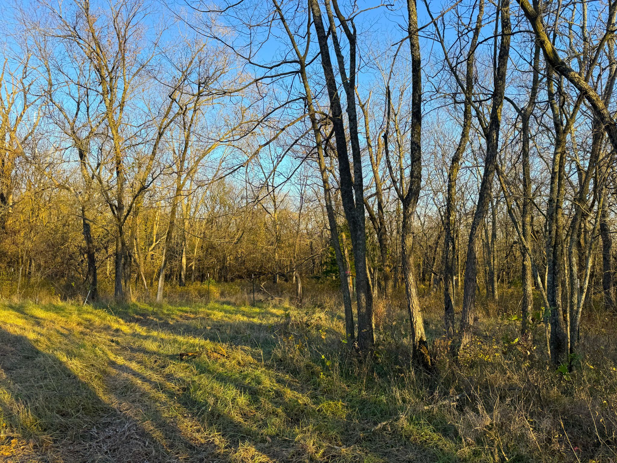 20251112_214742250_iOS