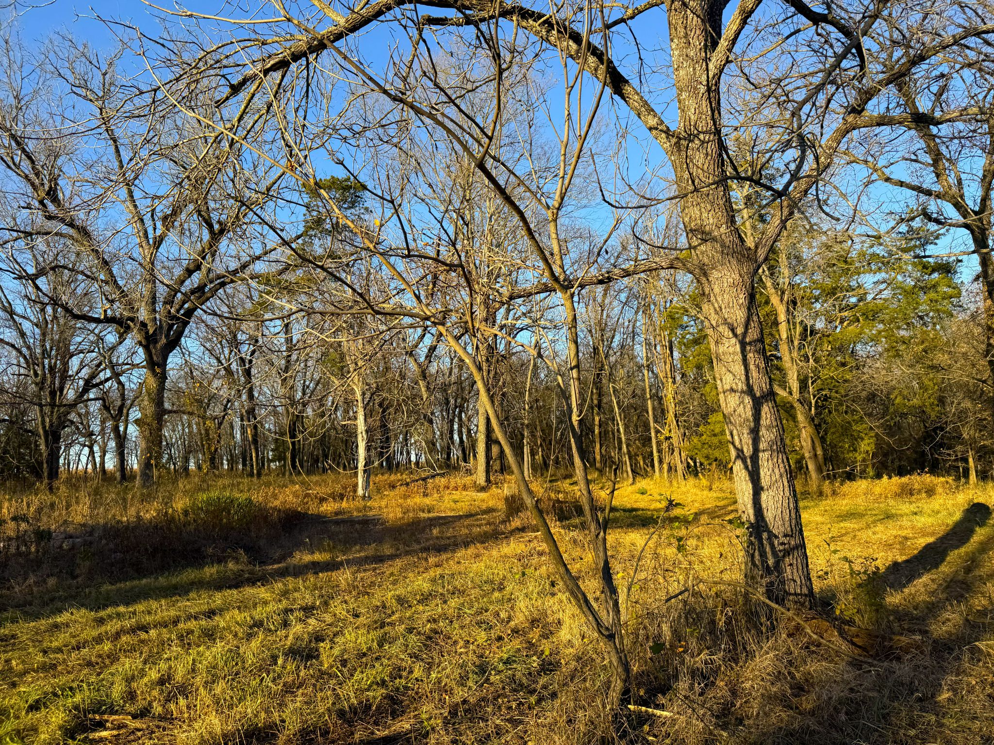 20251112_214800685_iOS