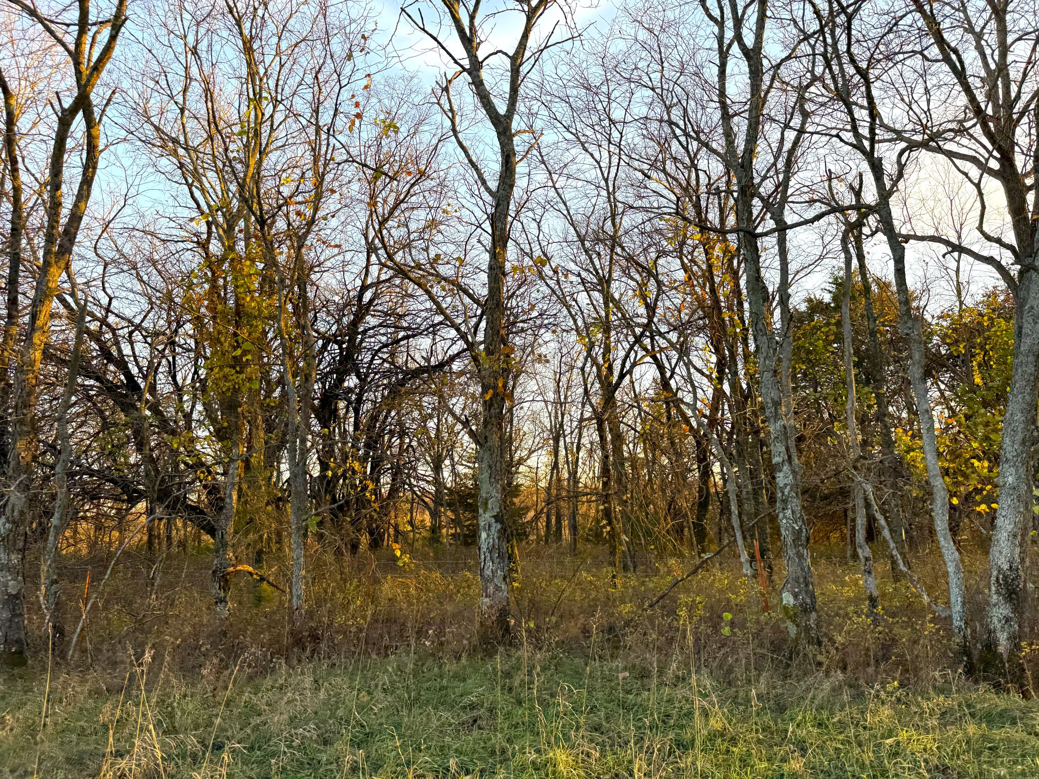 Prairie Crest Ground 2