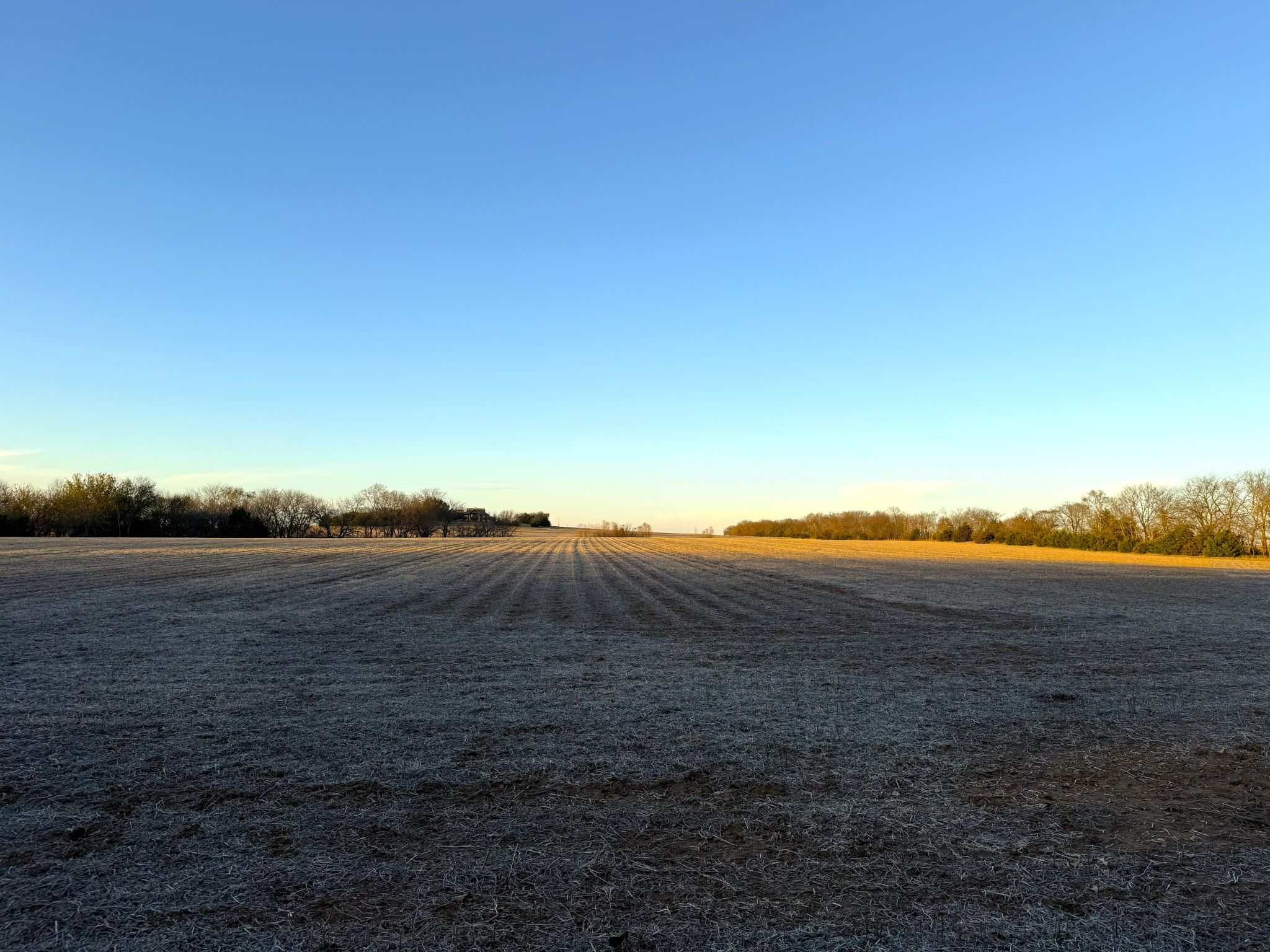 Prairie Crest Ground 4