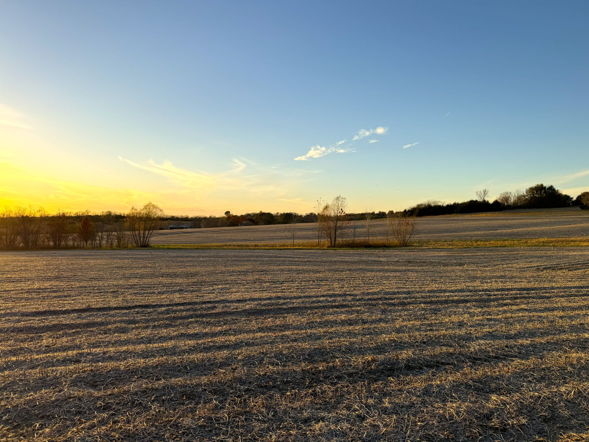 Prairie Crest Ground 5