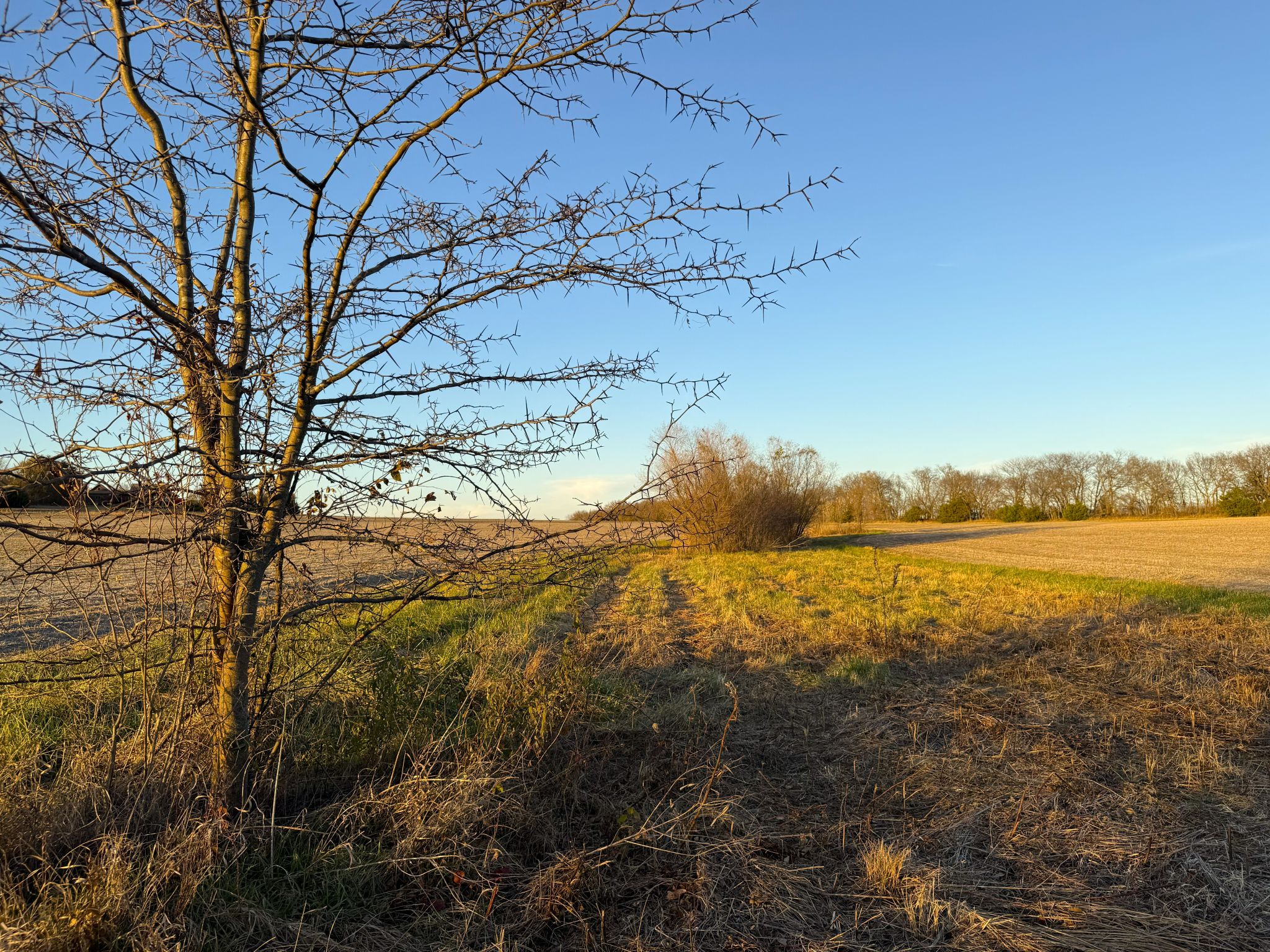 Prairie Crest Ground 6