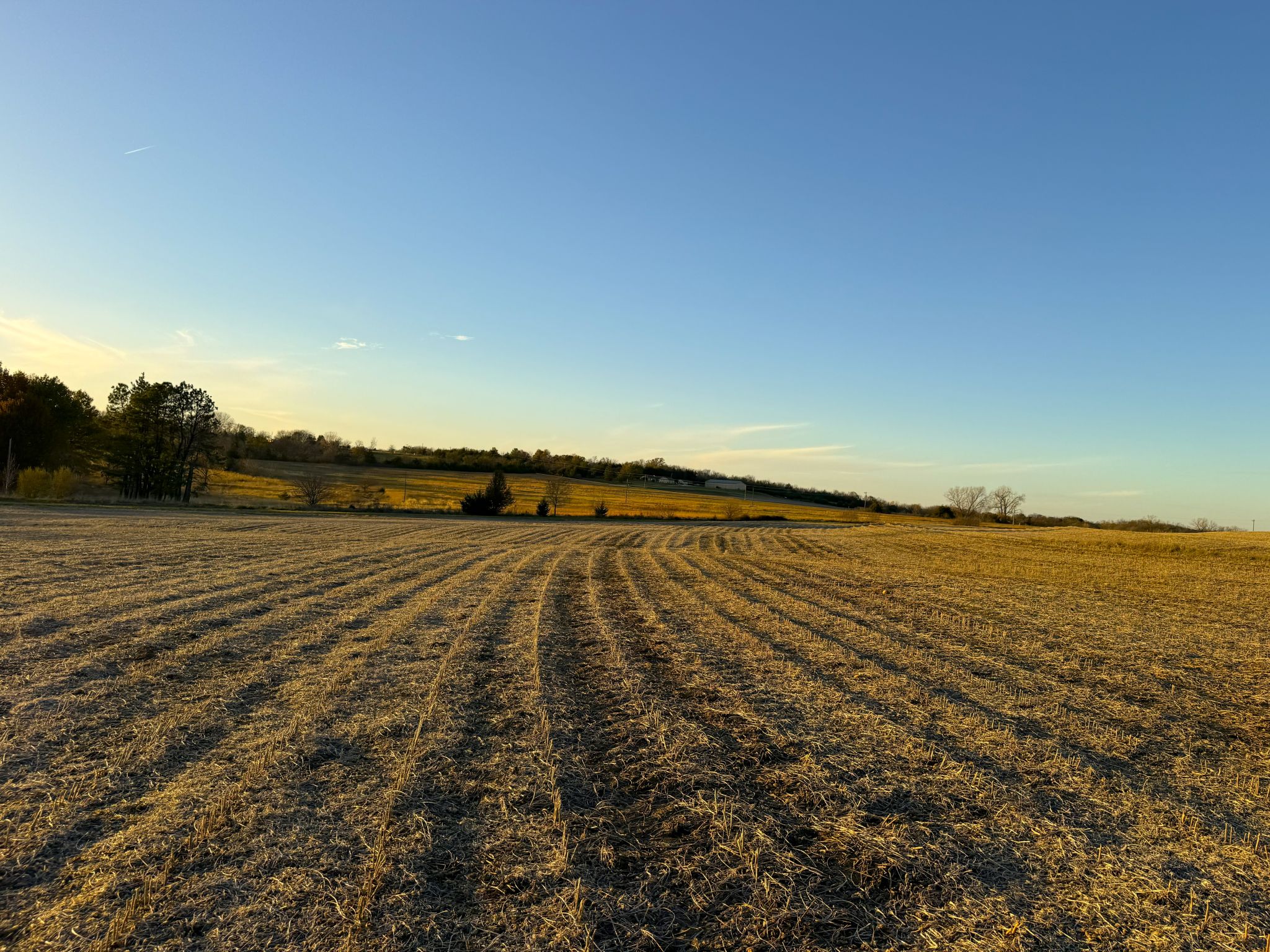 Prairie Crest Ground 7