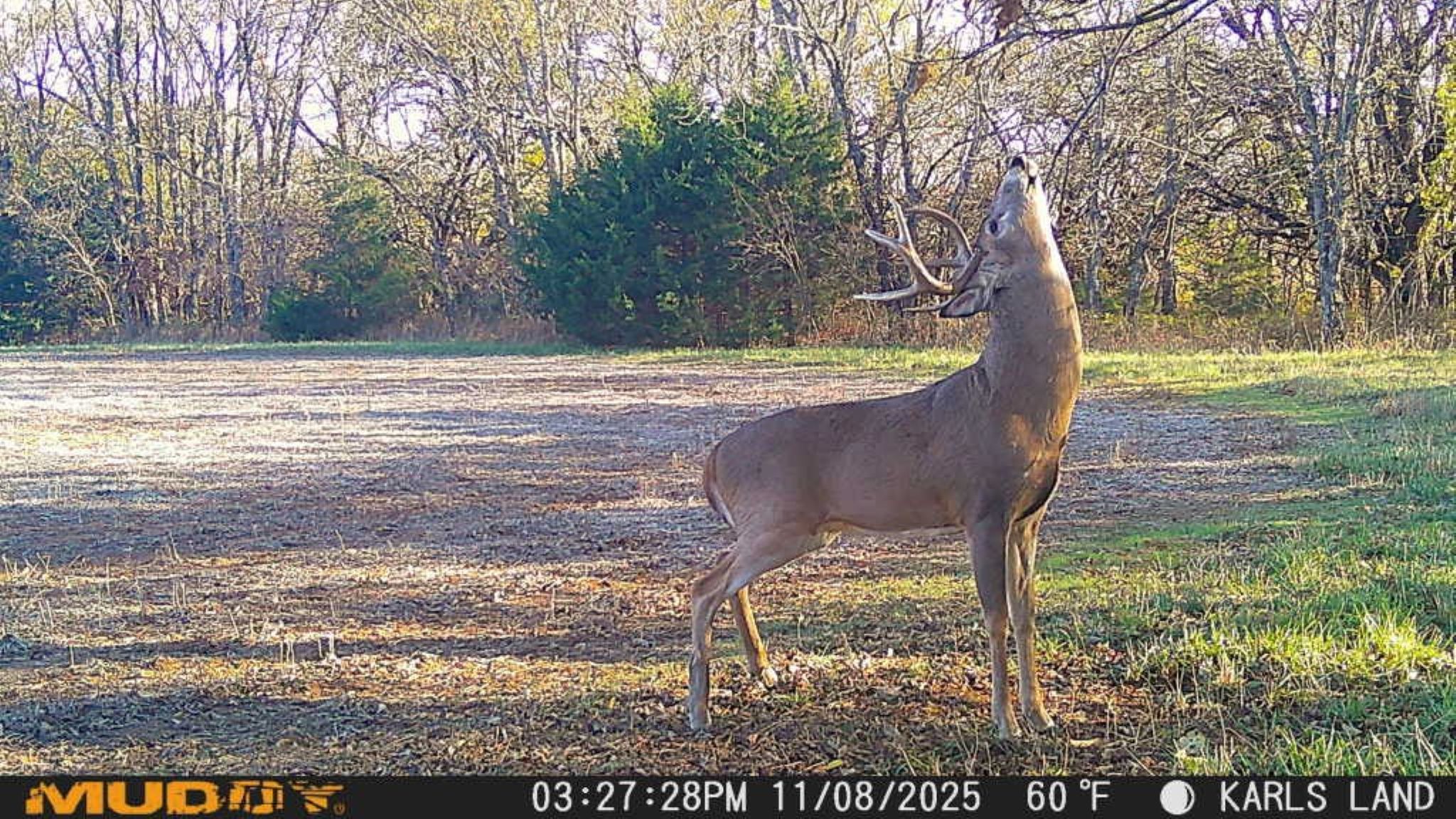 Prairie Crest Wildlife Pic 9