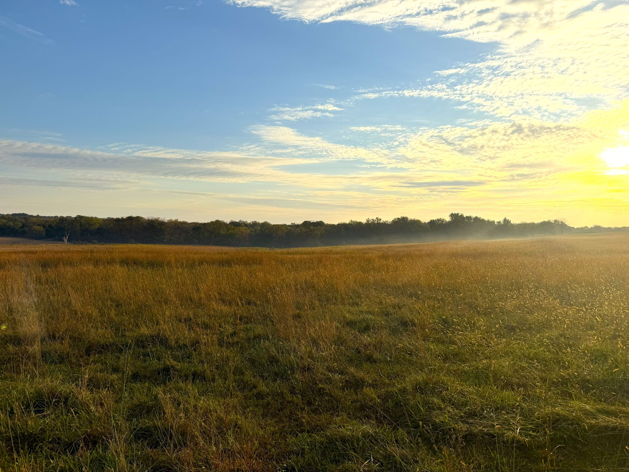 Tract 10 20251015_132006468_iOS