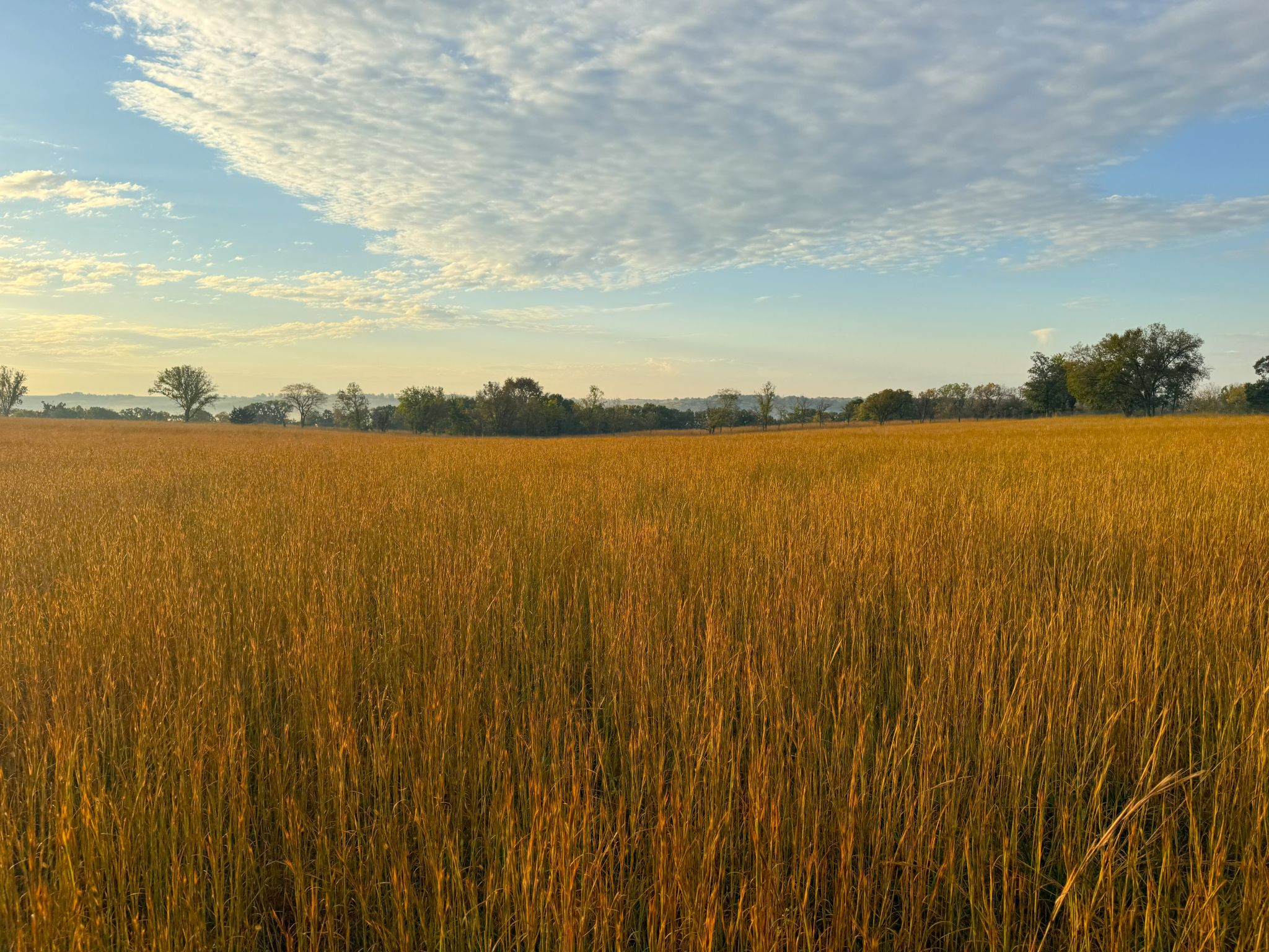 Tract 10 20251015_132057609_iOS