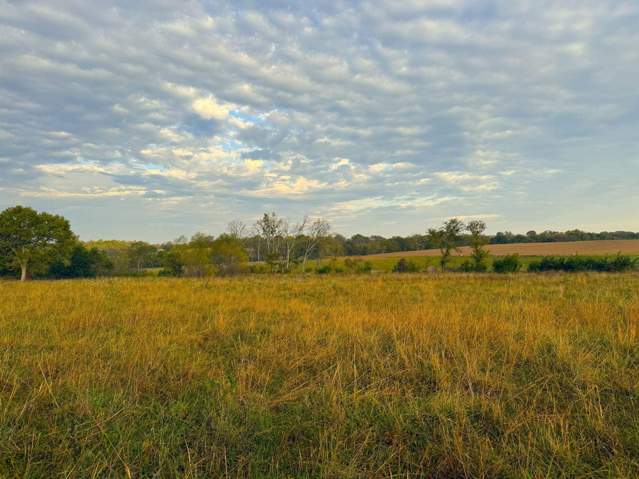 Tract 8 20251015_132512161_iOS