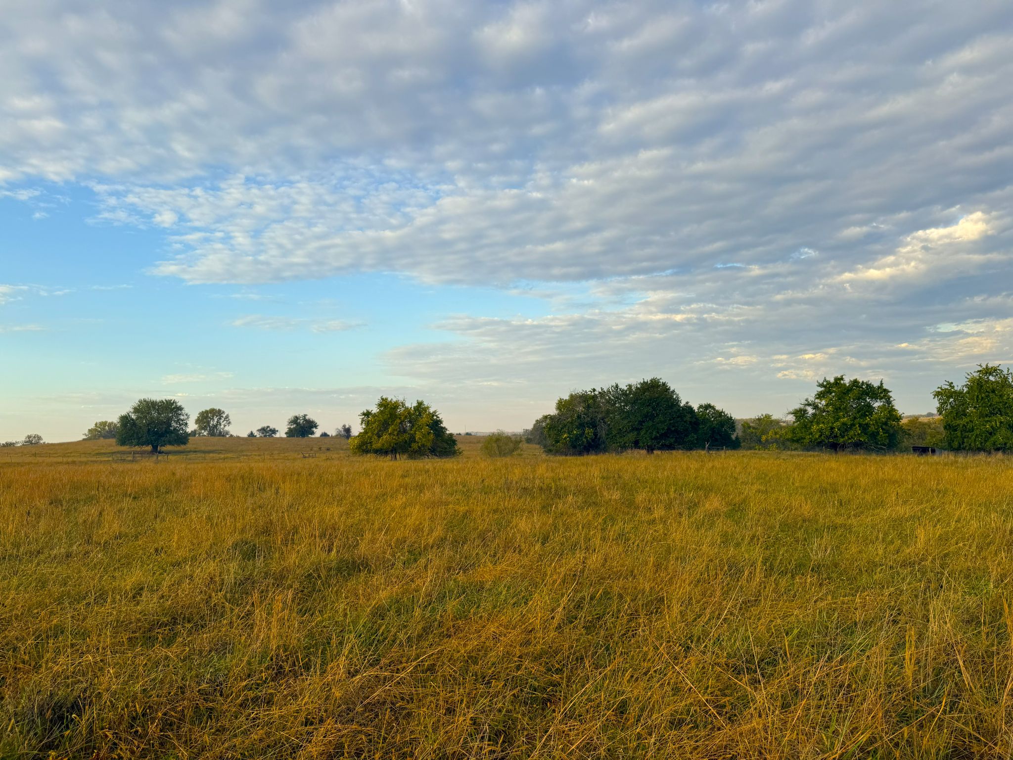 Tract 8 20251015_132515138_iOS