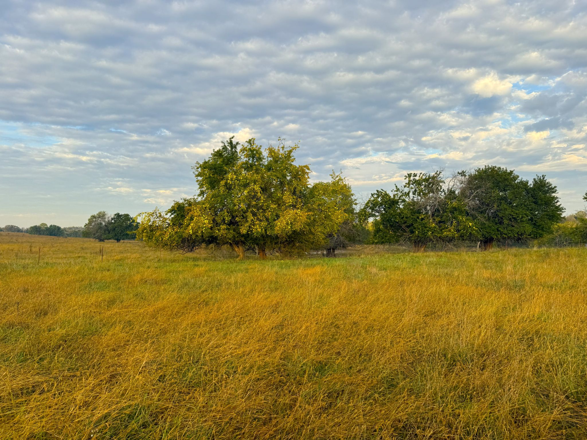 Tract 8 20251015_132542648_iOS