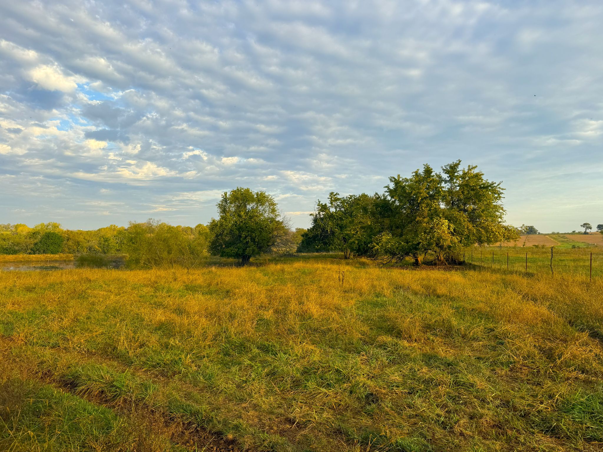 Tract 8 20251015_132628318_iOS