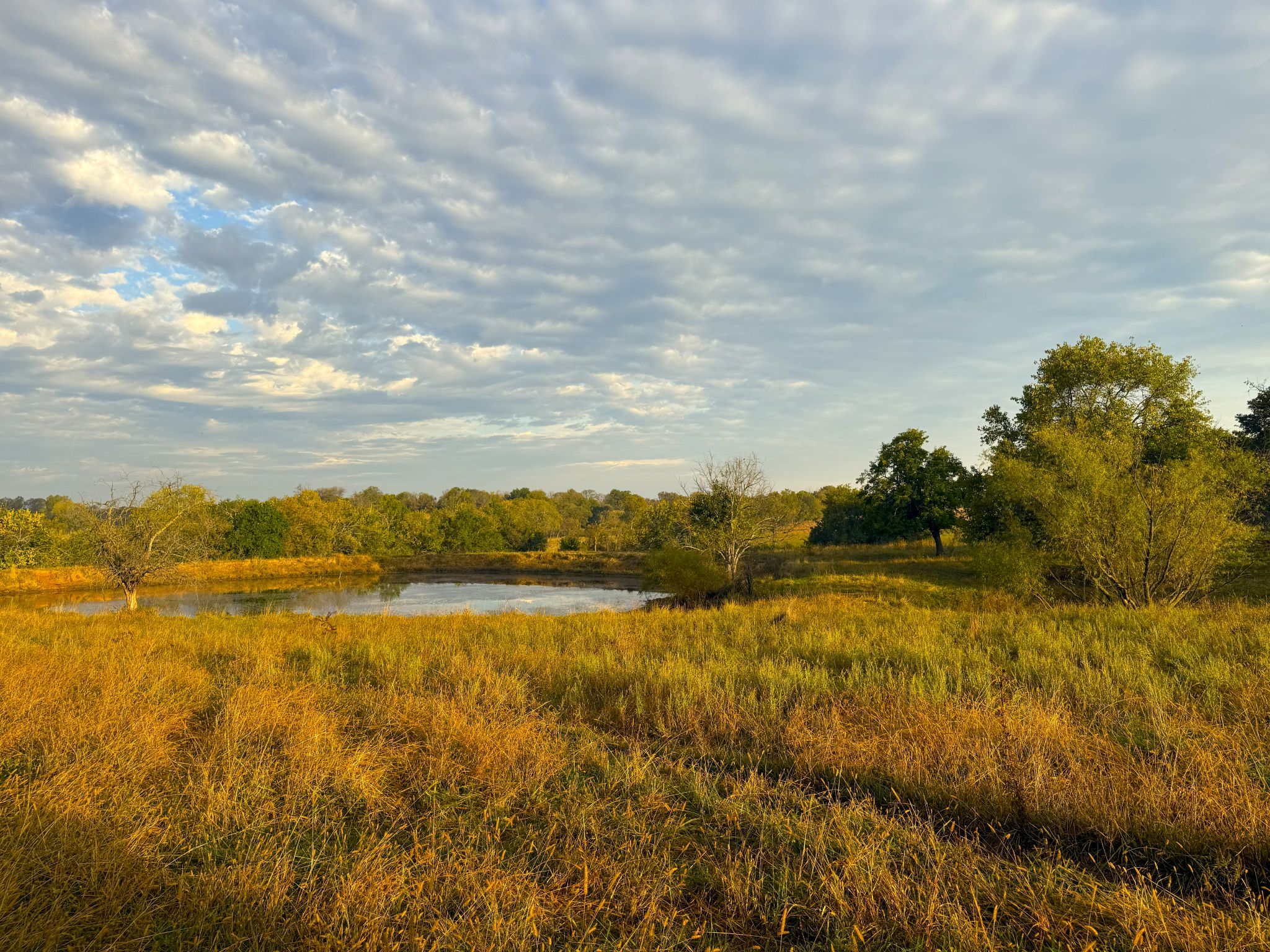 Tract 8 20251015_132732807_iOS