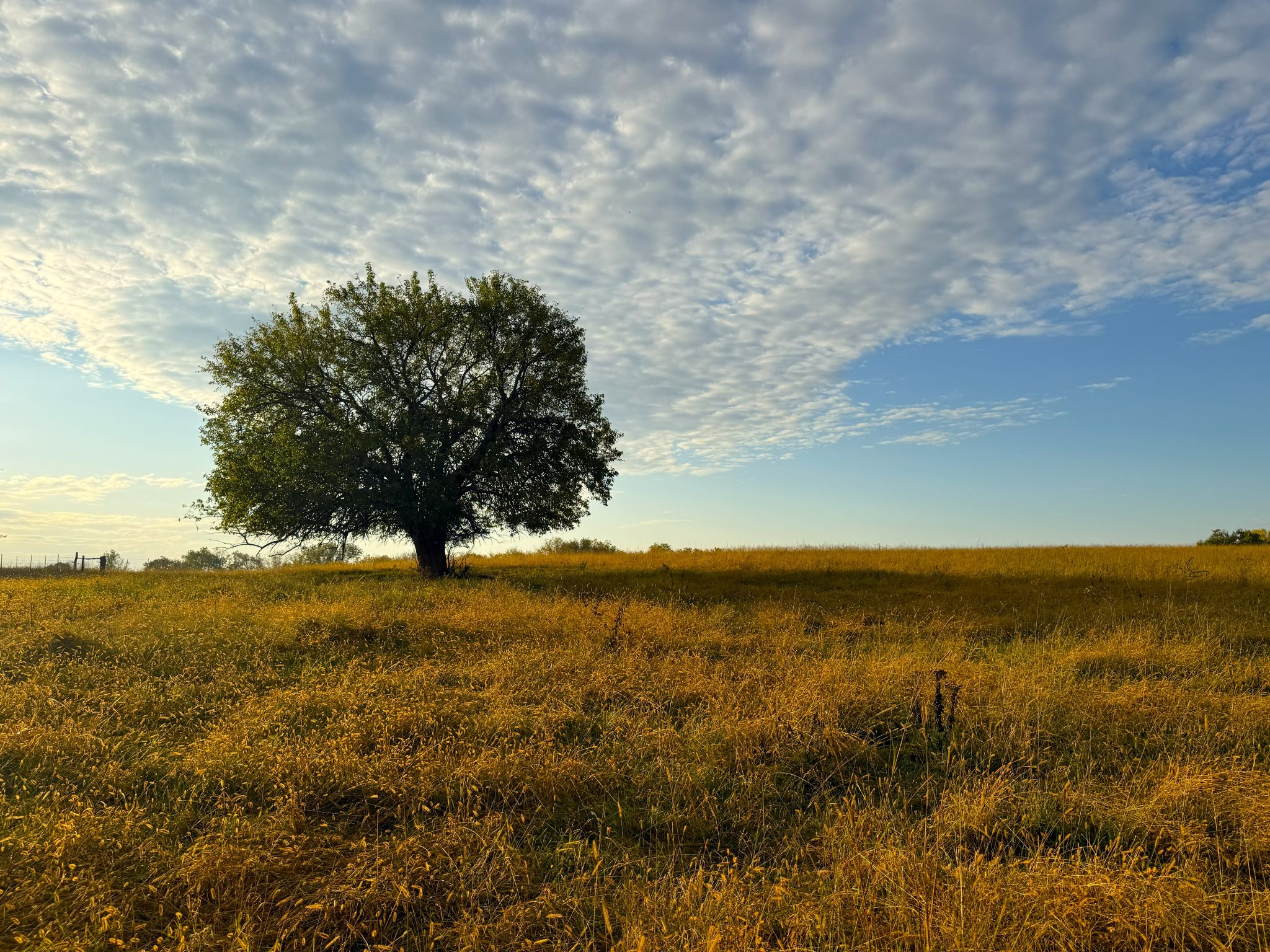 Tract 8 20251015_133315123_iOS