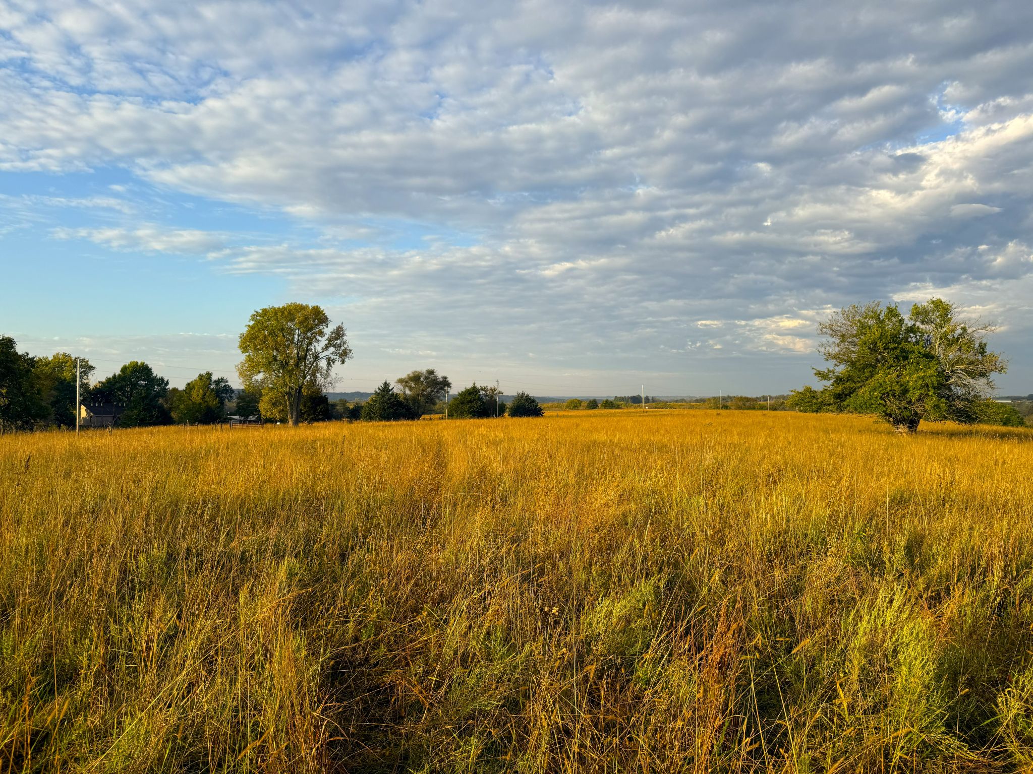 Tract 8 20251015_133430819_iOS