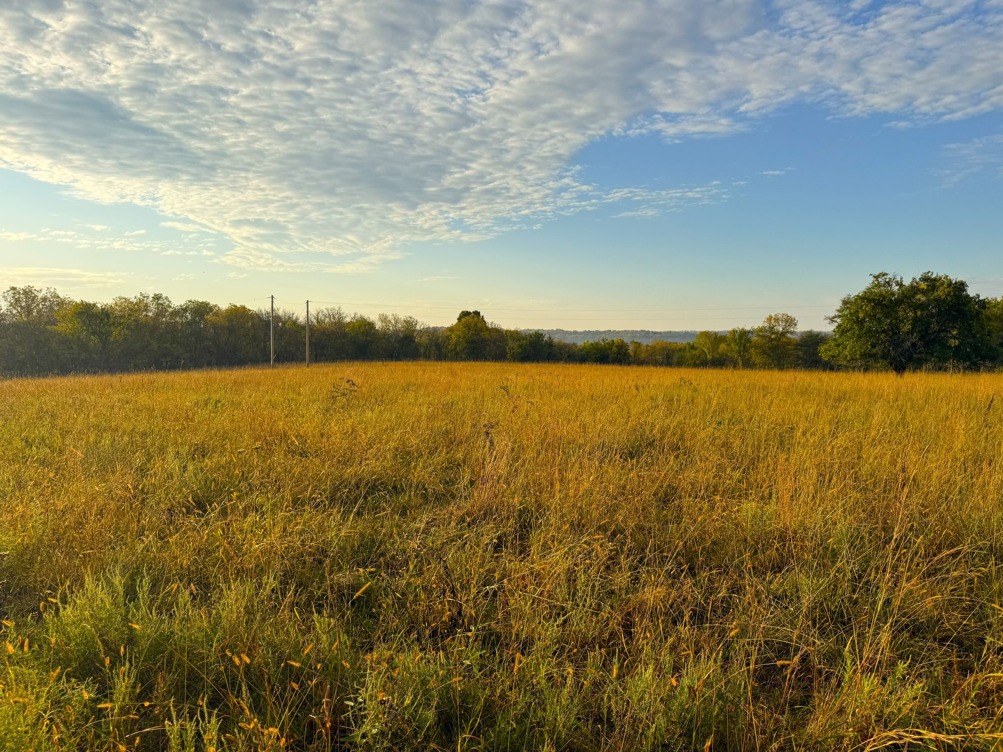 Tract 8 20251015_133432988_iOS