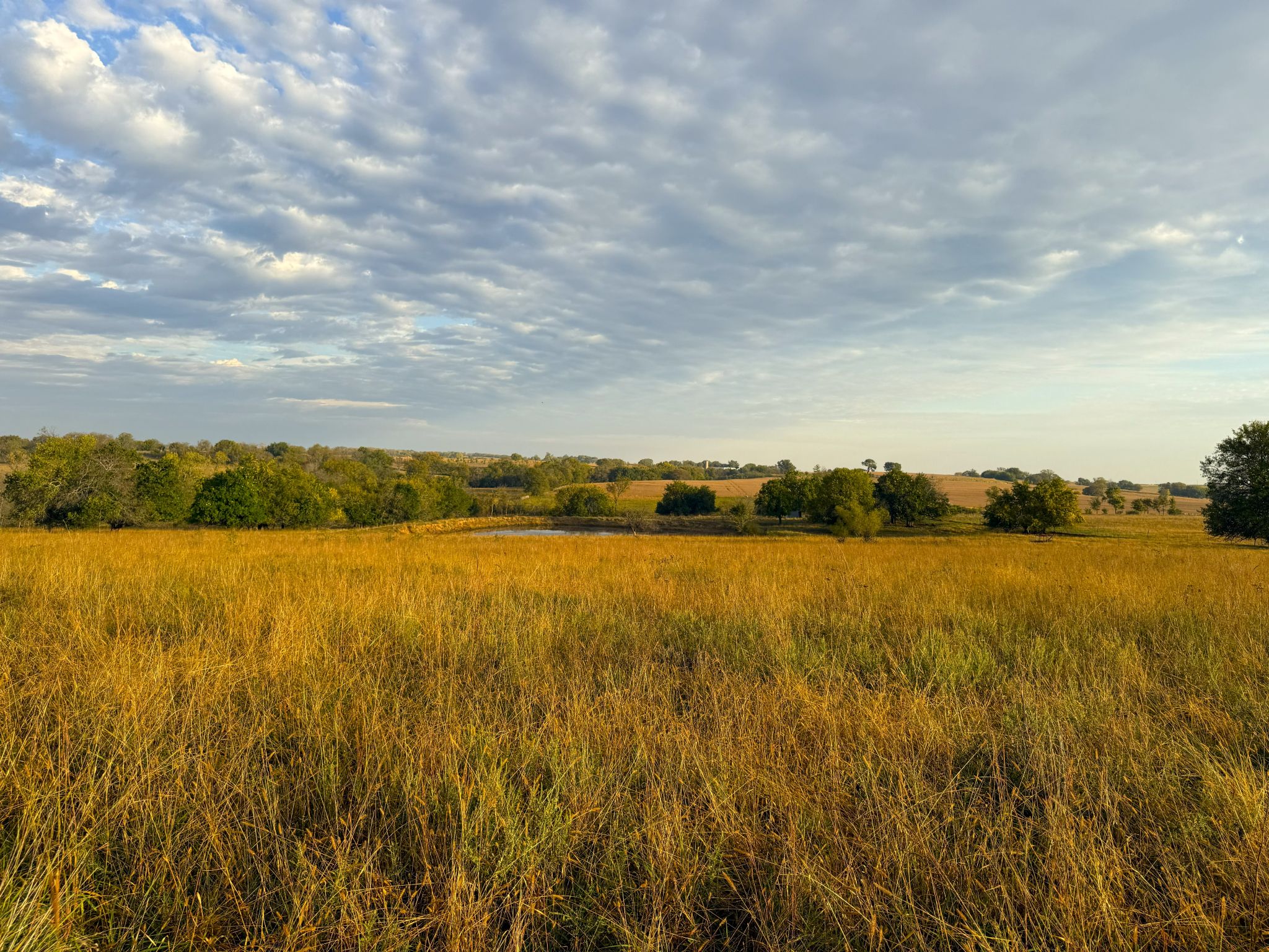 Tract 8 20251015_133448824_iOS