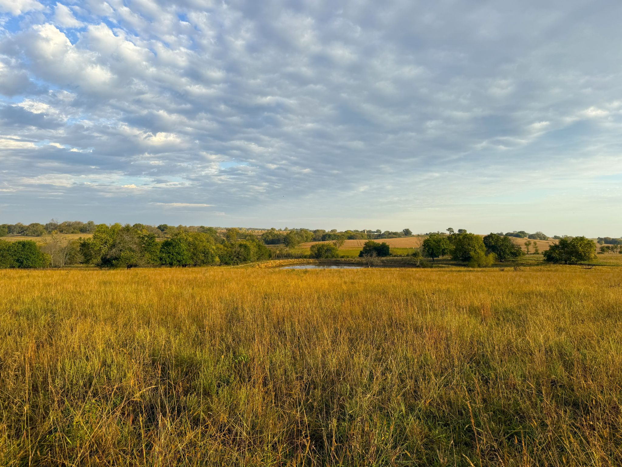 Tract 8 20251015_133457921_iOS